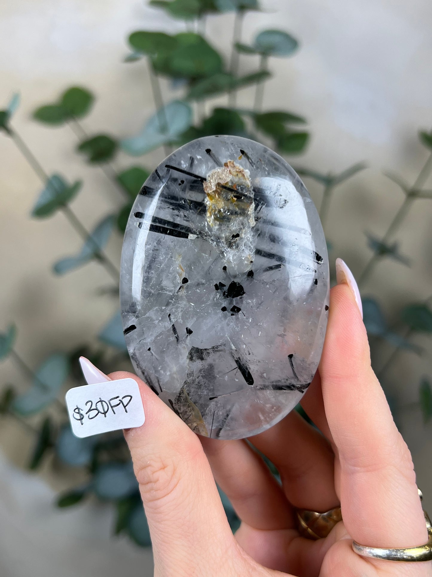 Tourmaline in Quartz Palms (30FP, 33EK)