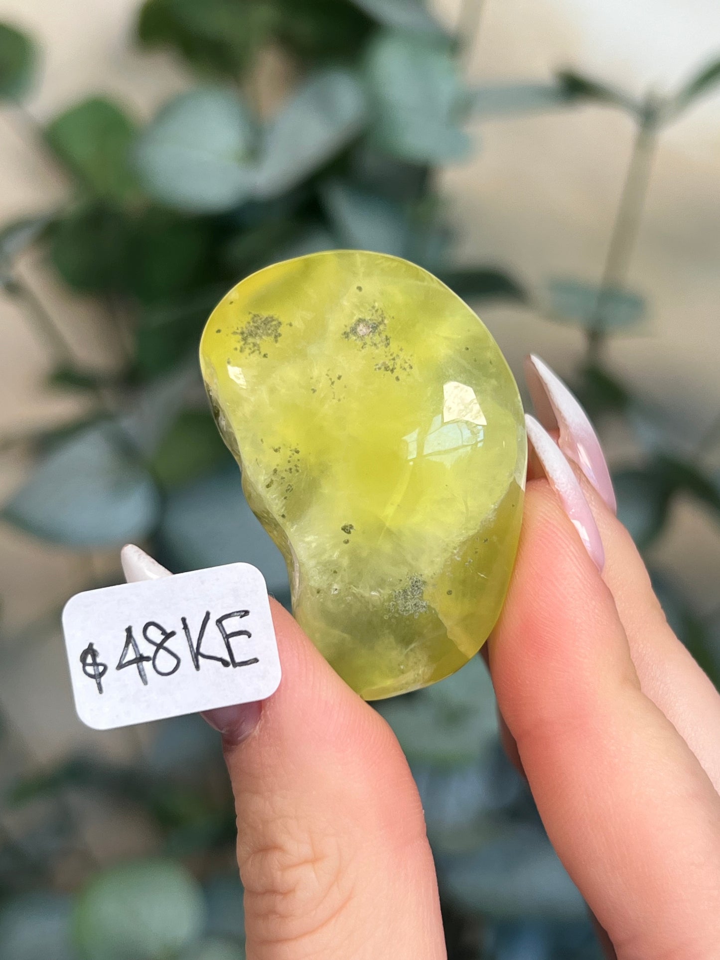 Australian Prehnite Polished (47-50, 4 options)