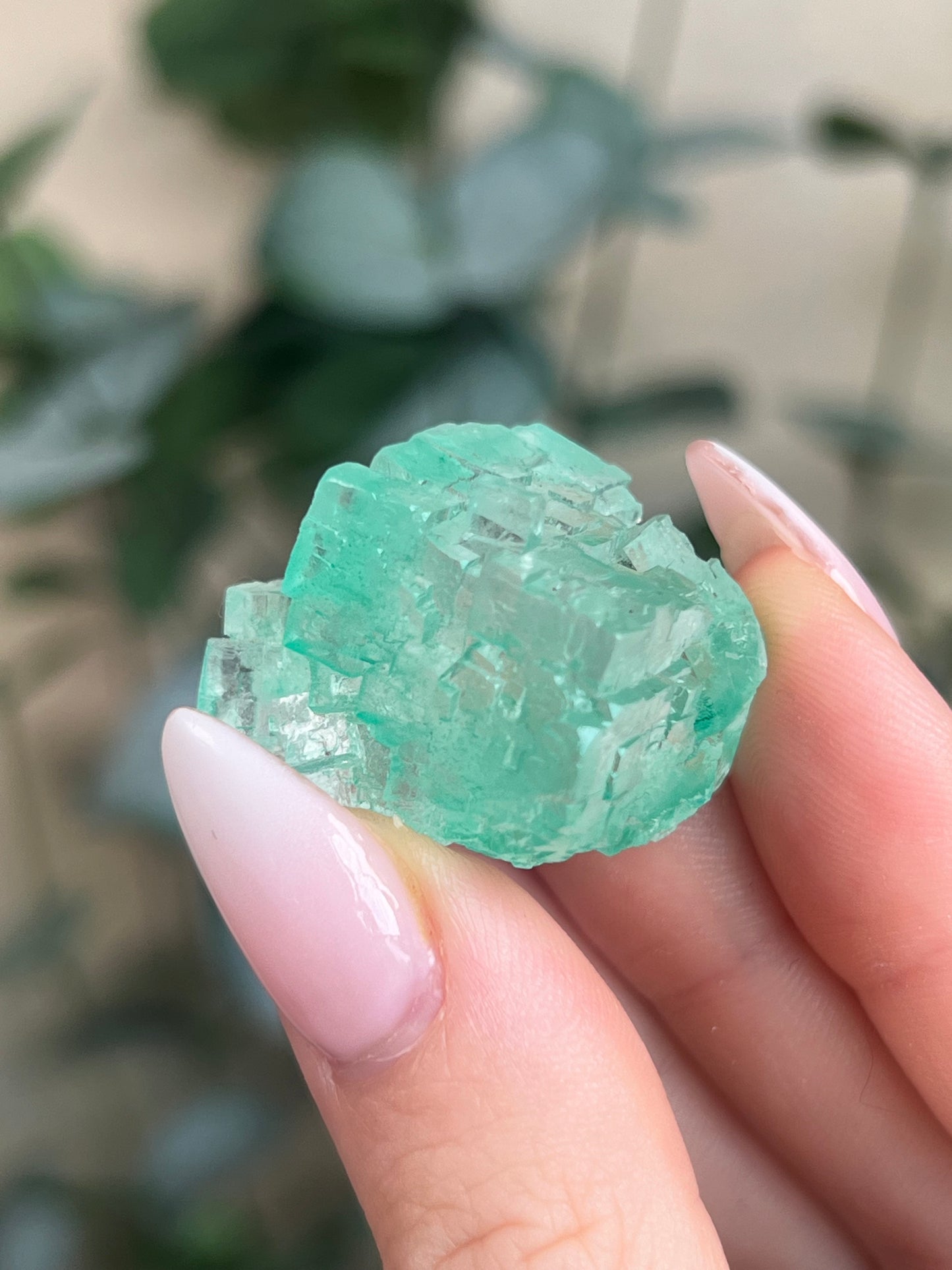 Green Halite with Display Block (60KP)