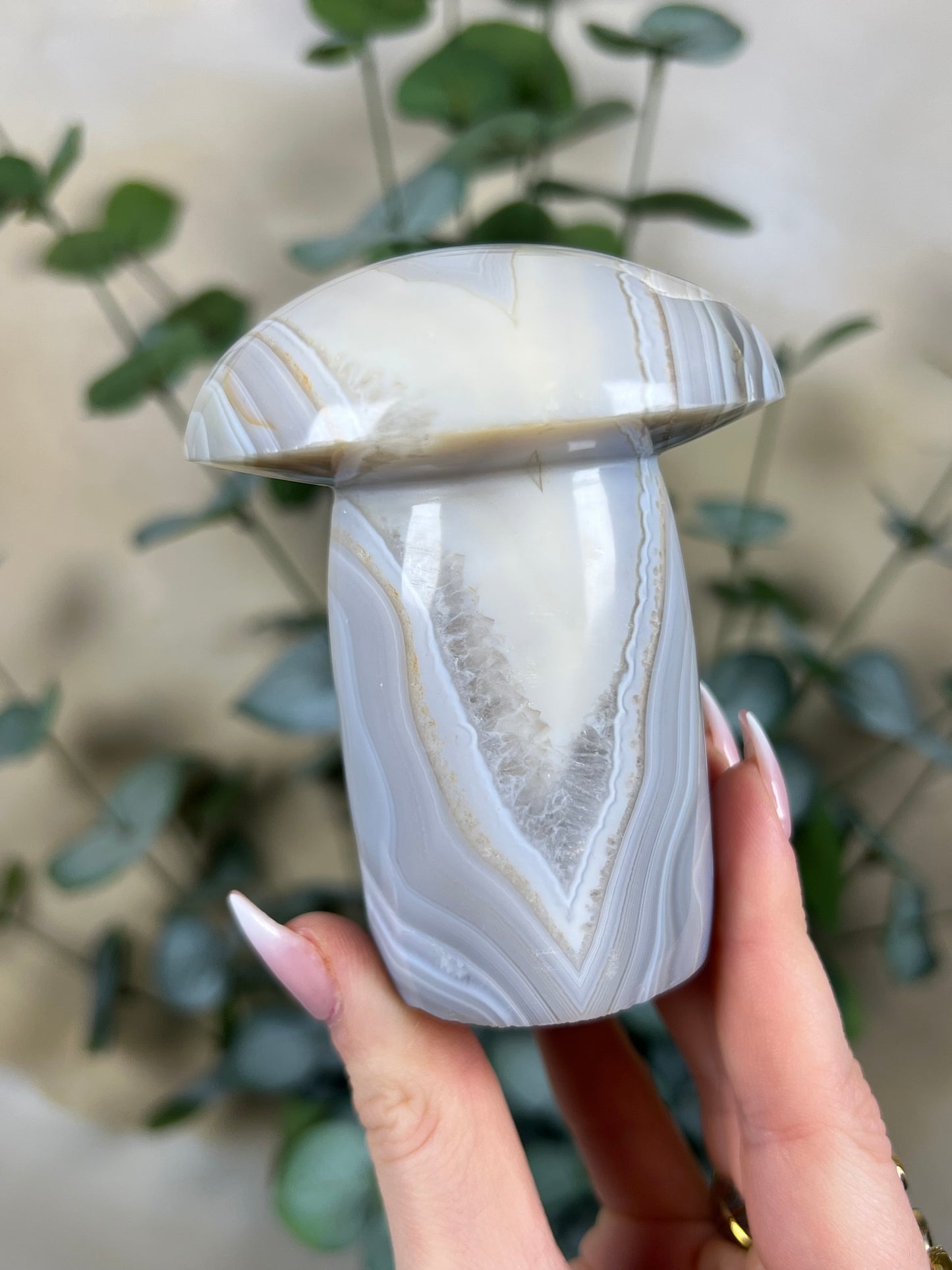 Agate Mushroom (39EX)