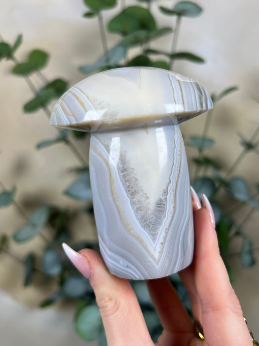 Agate Mushroom (39EX)
