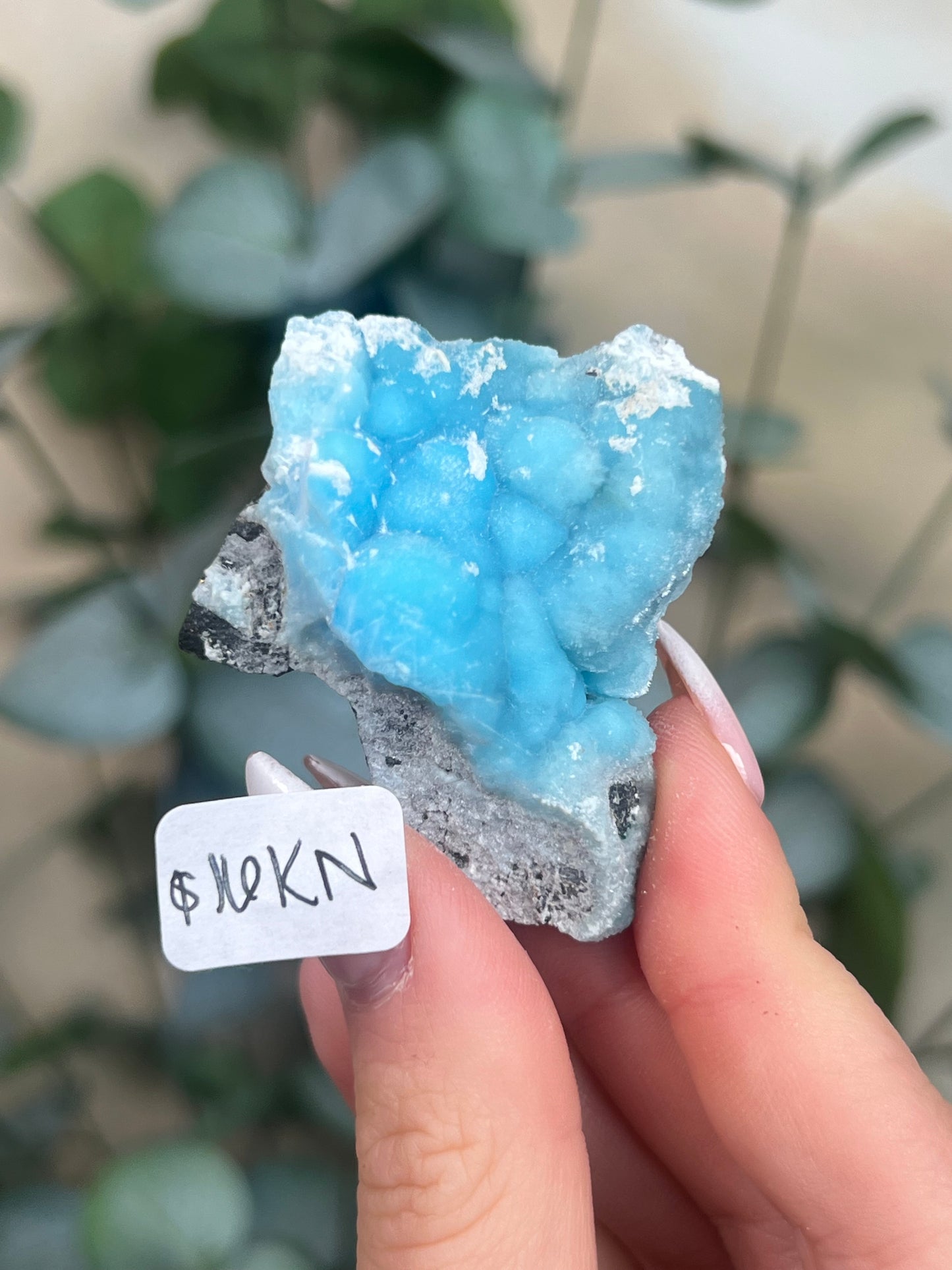 Blue Aragonite (12-16, 7 options)