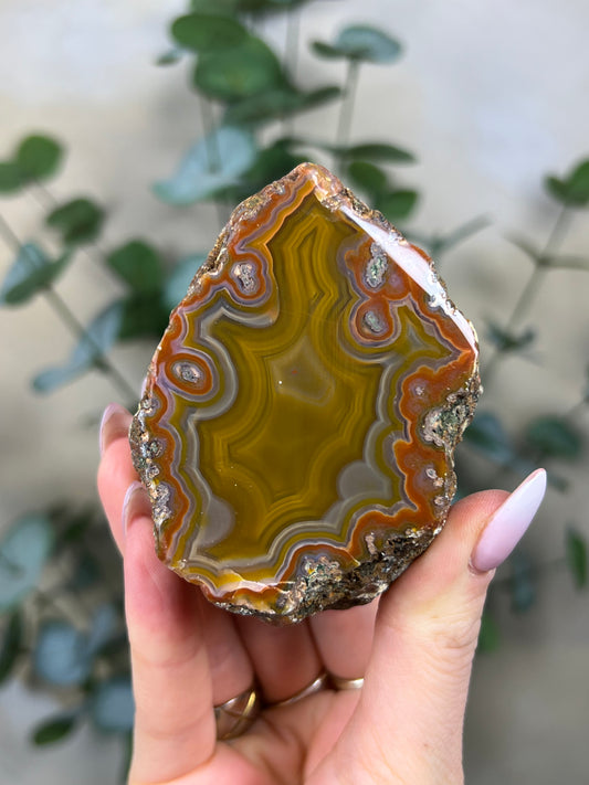 Condor Agate (285EA)