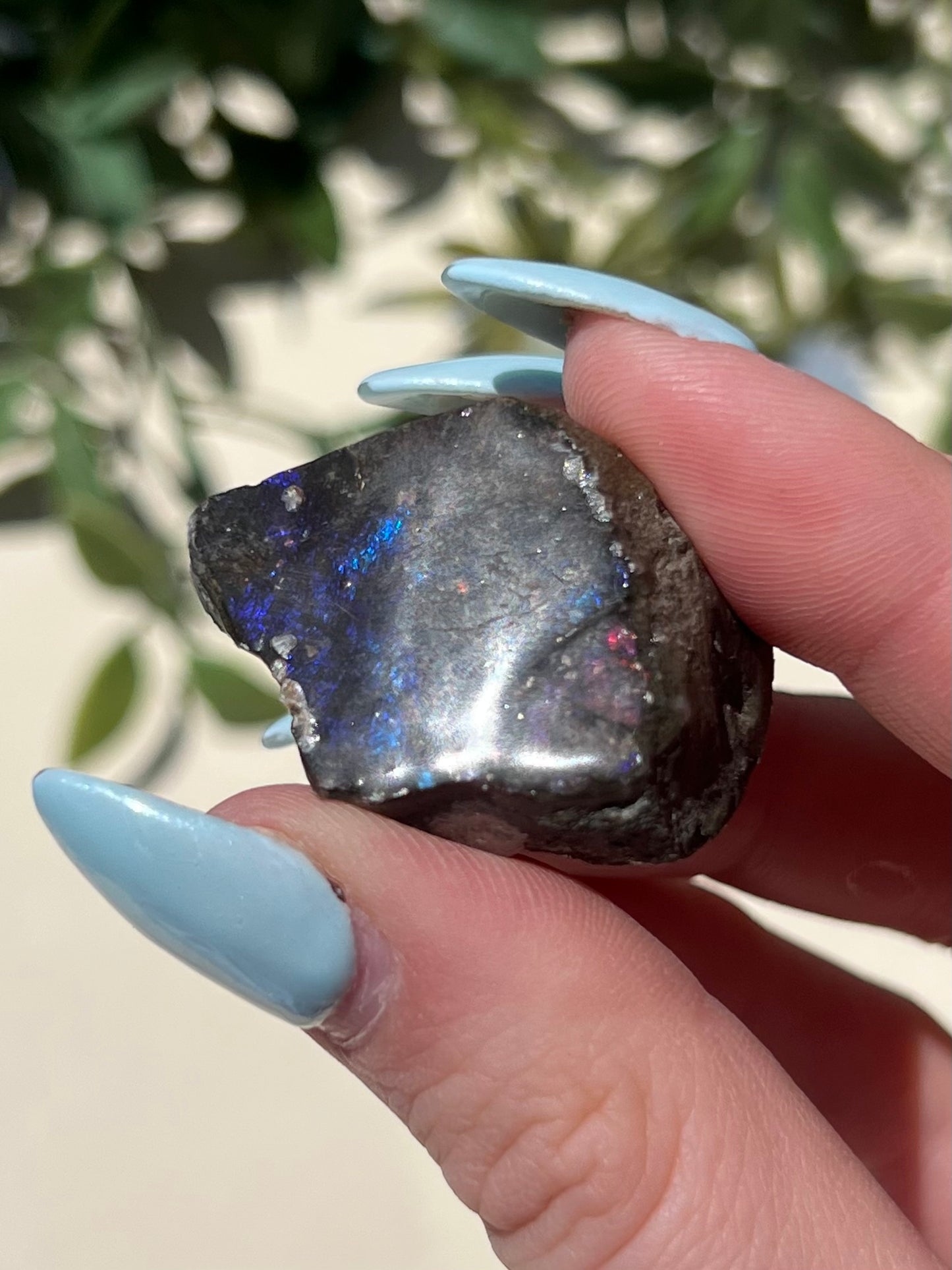 Ammolite (13AH)