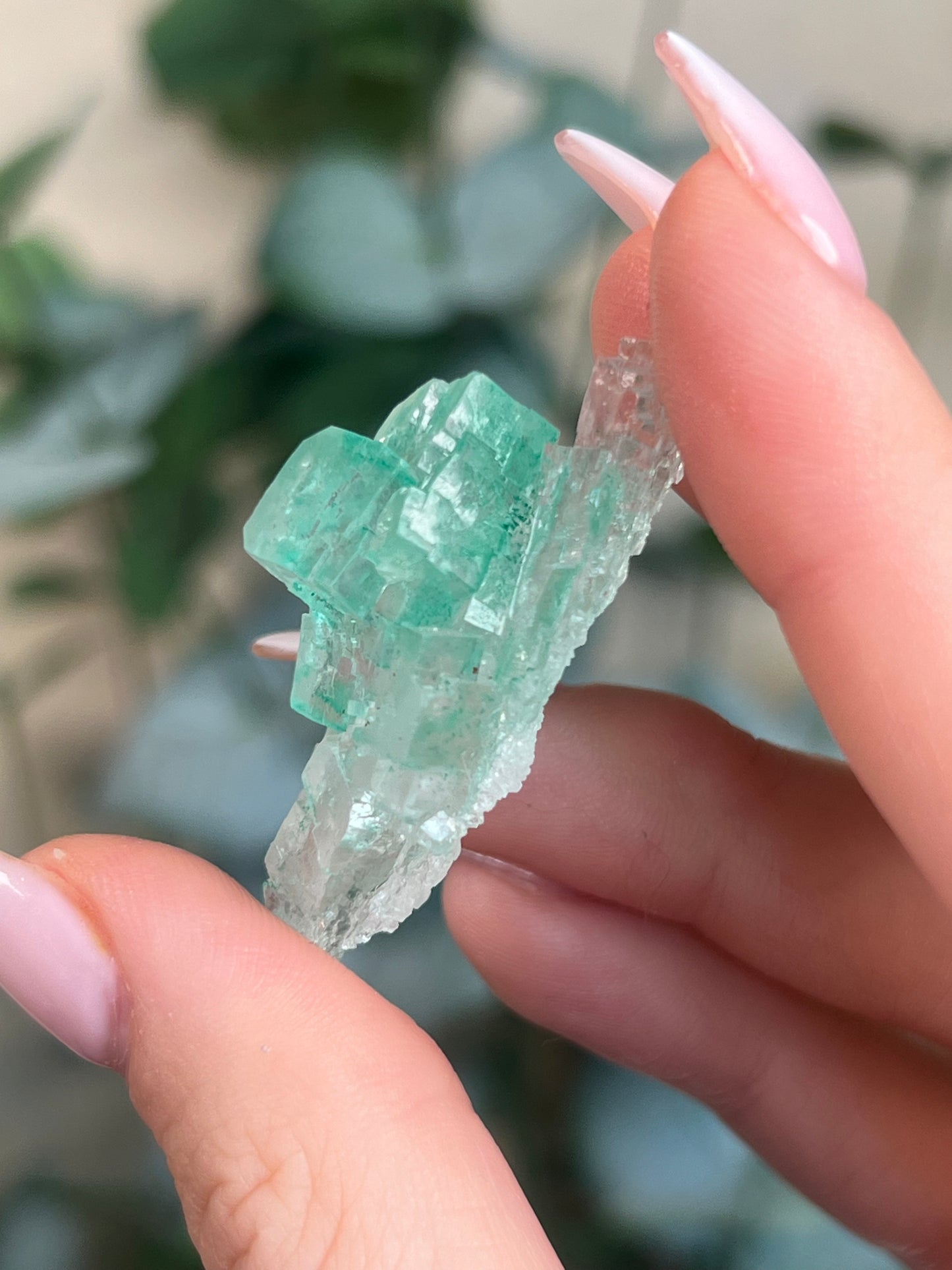 Green Halite with Display Block (70KF)