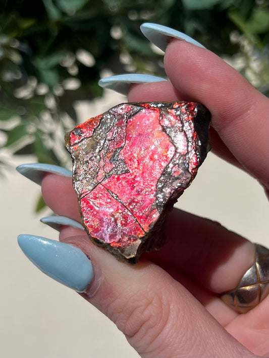 Ammolite (28AH)