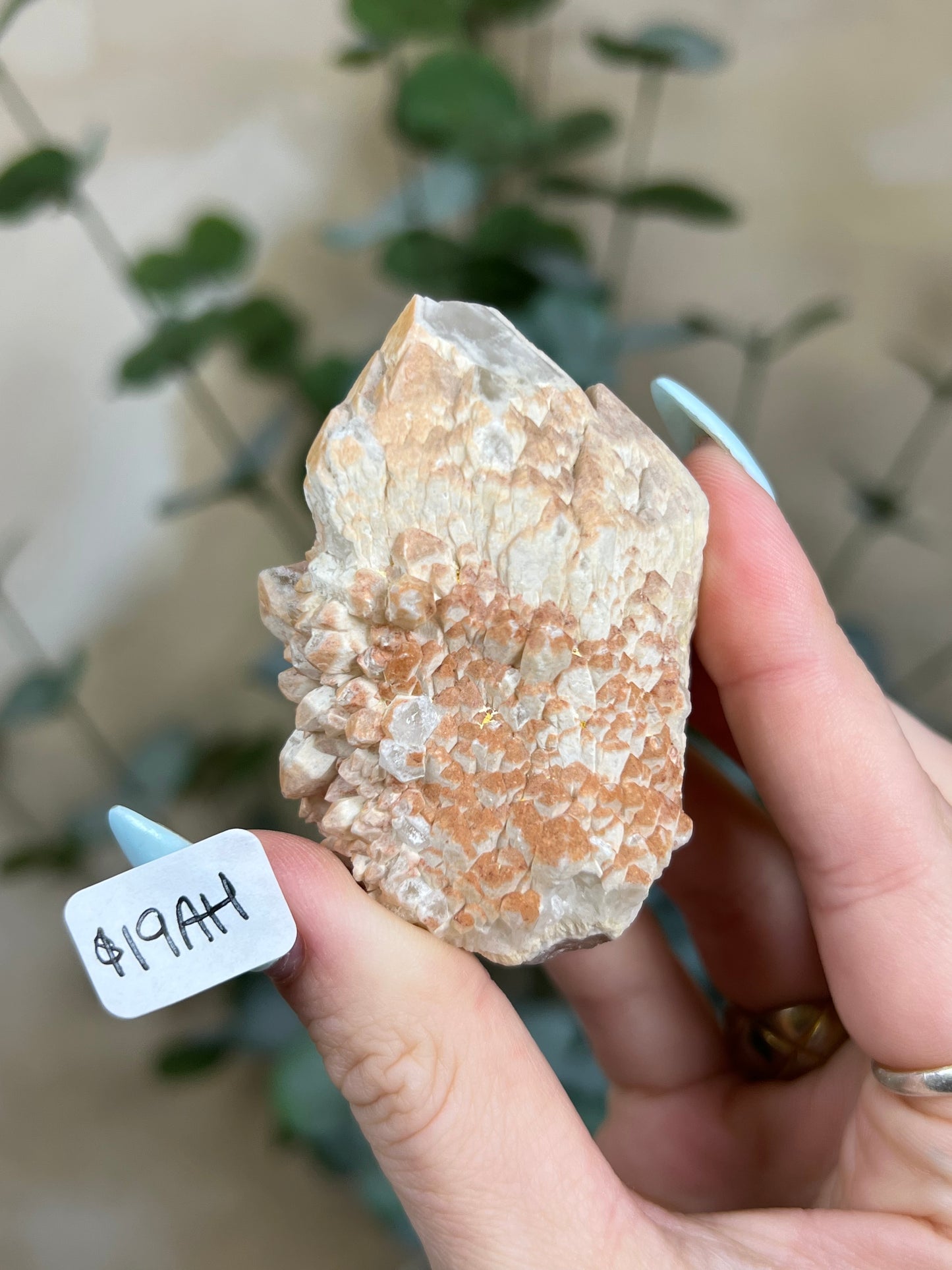 Feldspar Quartz (18AH, 19AH)