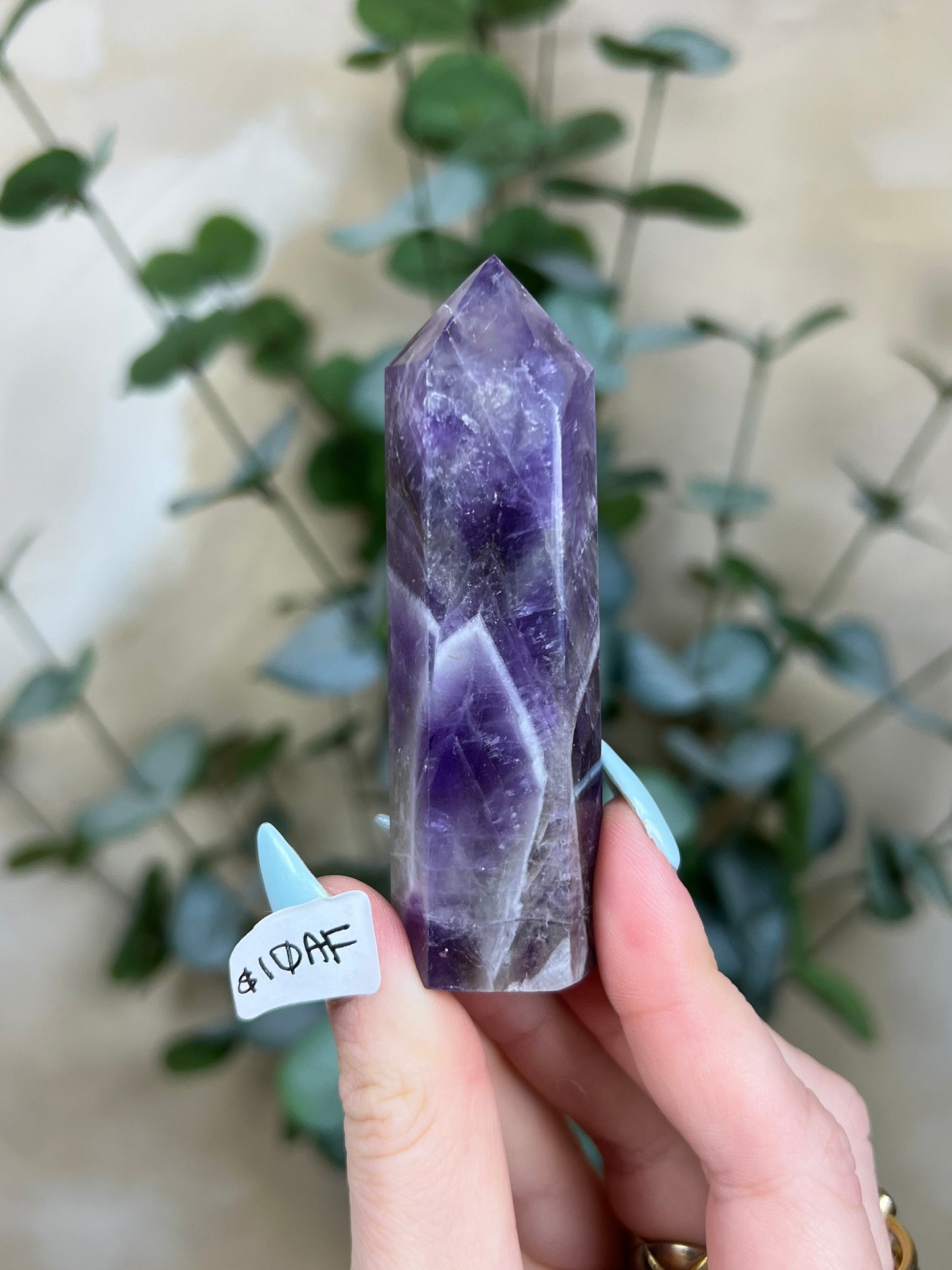 Amethyst Towers (10AE-10AH)