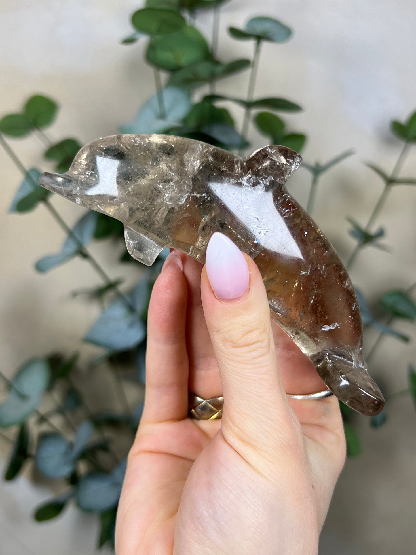 Quartz Dolphin (68EI)