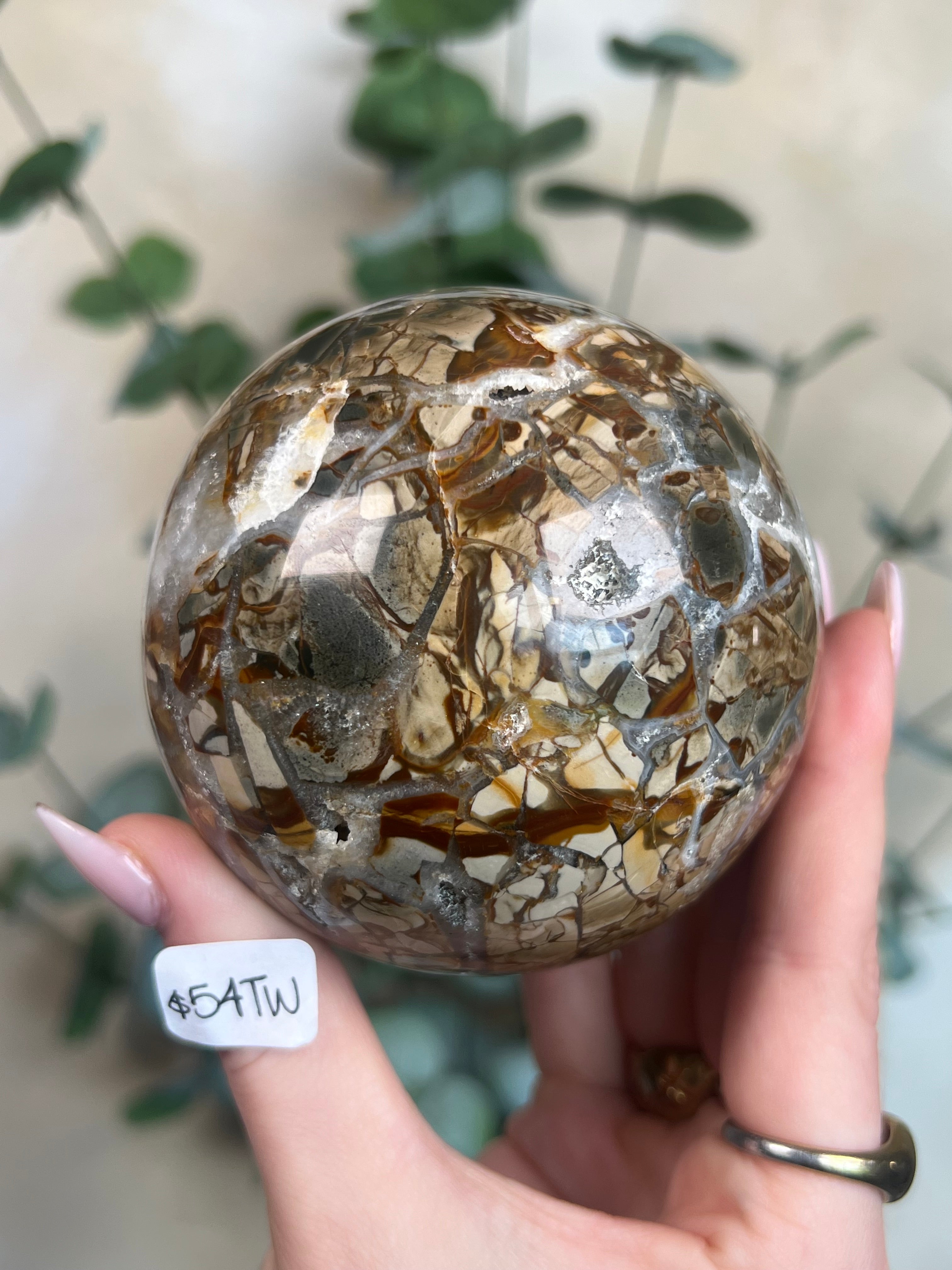 アイビスジャスパー スフィア 【公式通販】