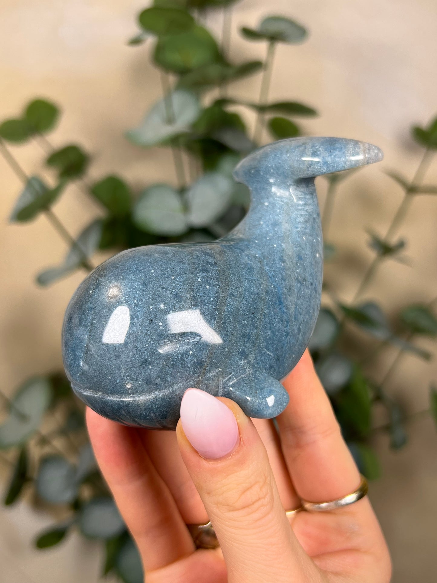 Trolleite Whale (120ED)