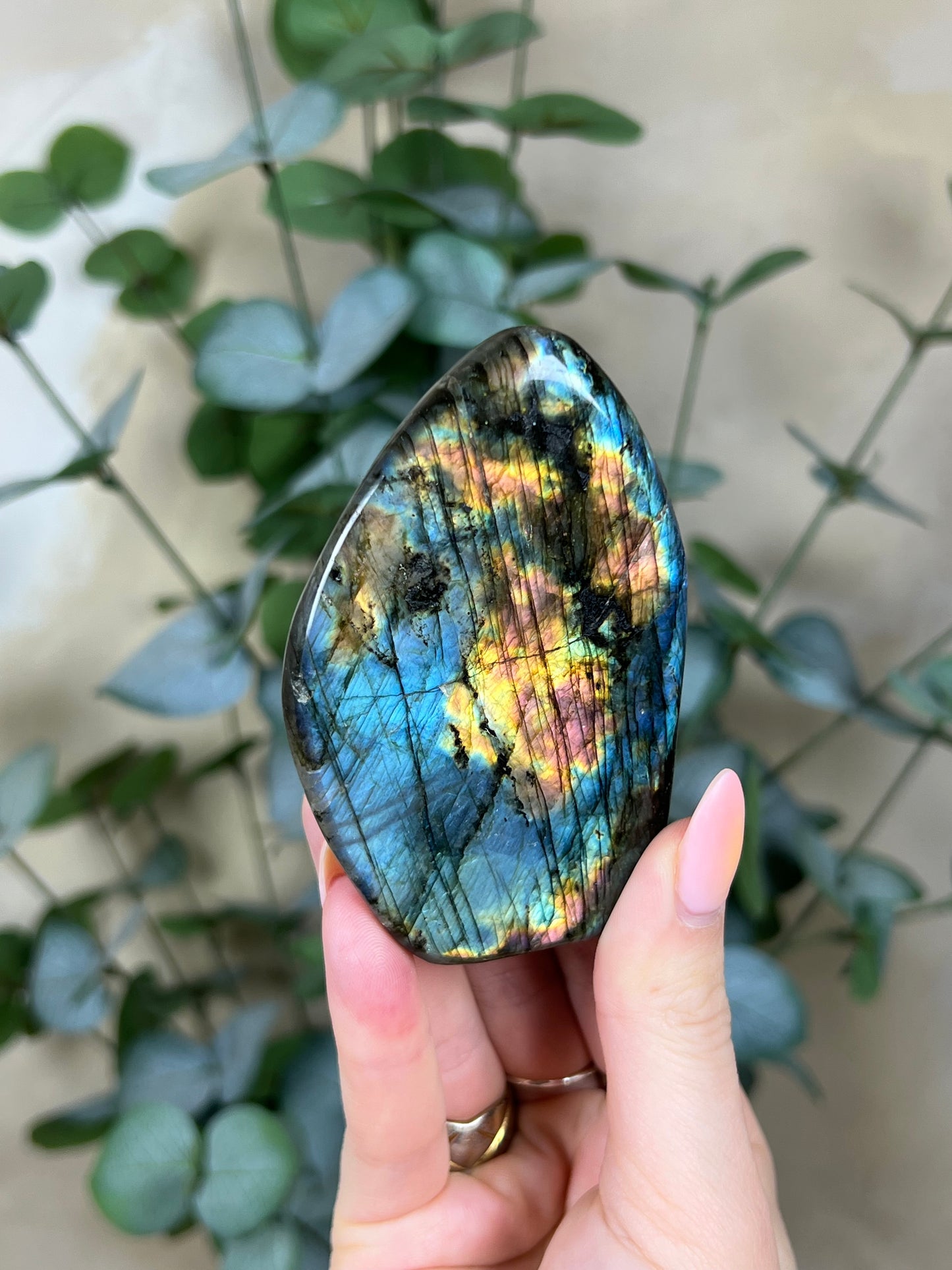 Lab Freeform (14BF)