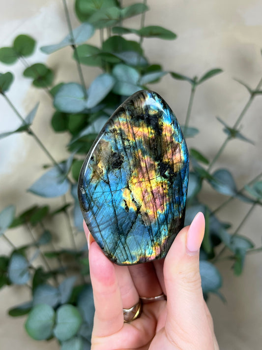 Lab Freeform (14BF)