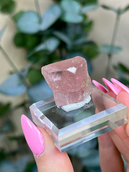 Pink Apatite (46AB)