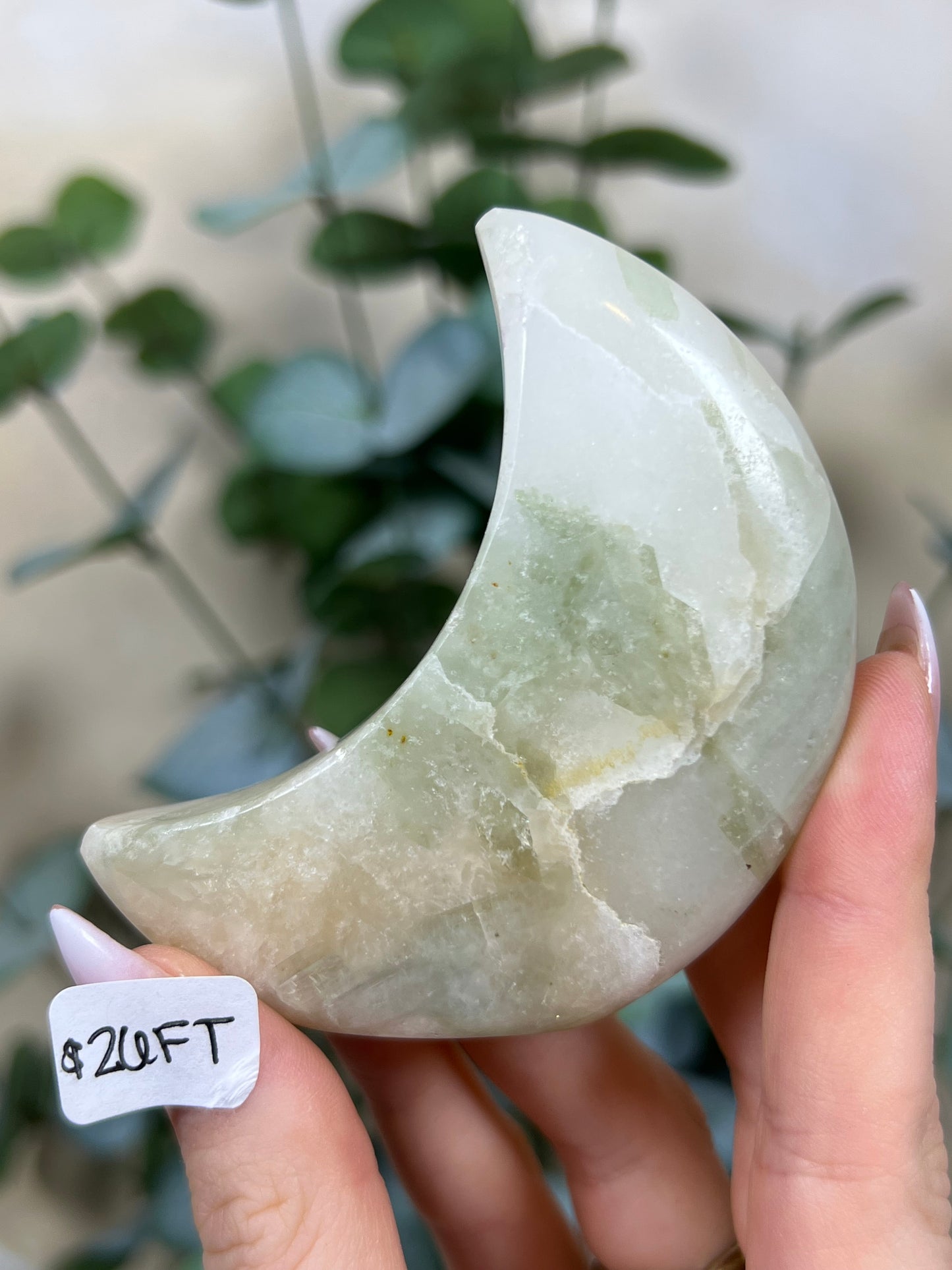 Green Kyanite in Quartz Standing Moons (26FT, 28FI, 28FJ)