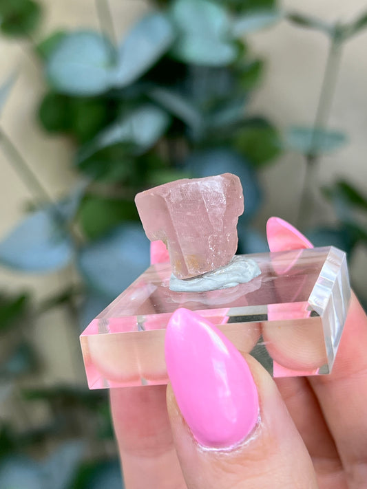 Pink Apatite (26AJ)