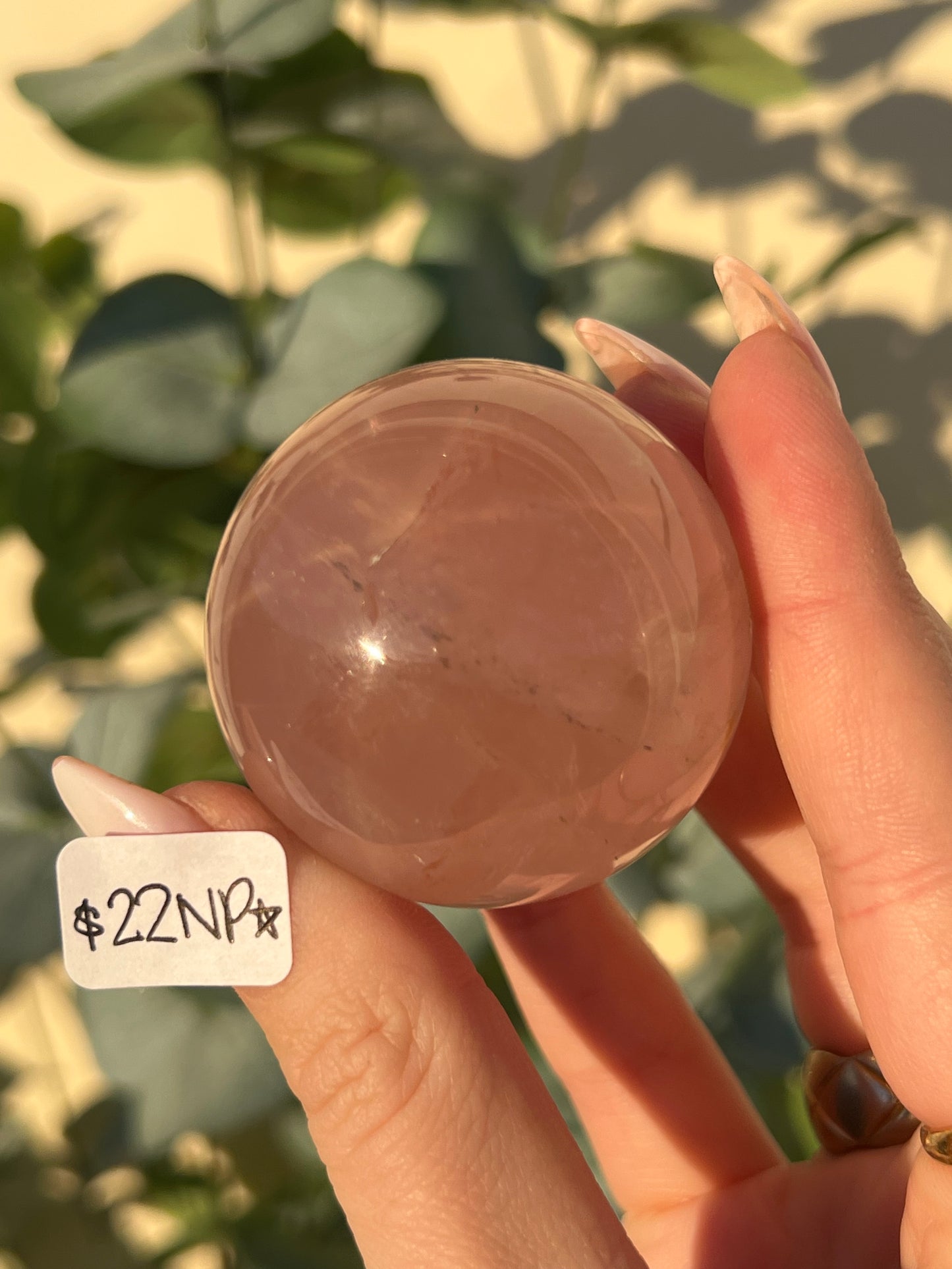 Star Rose Quartz Spheres (22NN, 22NP, 24NC)