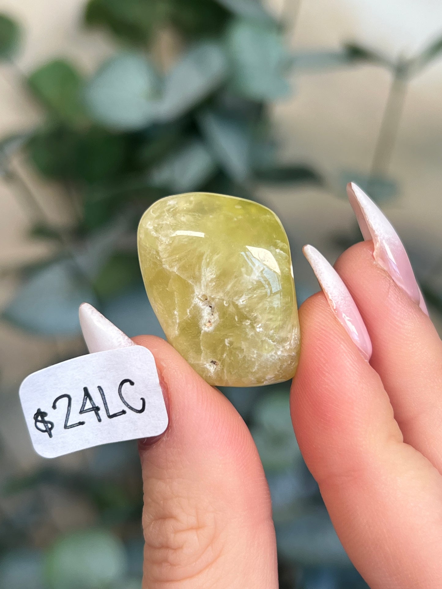 Australian Prehnite Polished (16-24, 6 options)