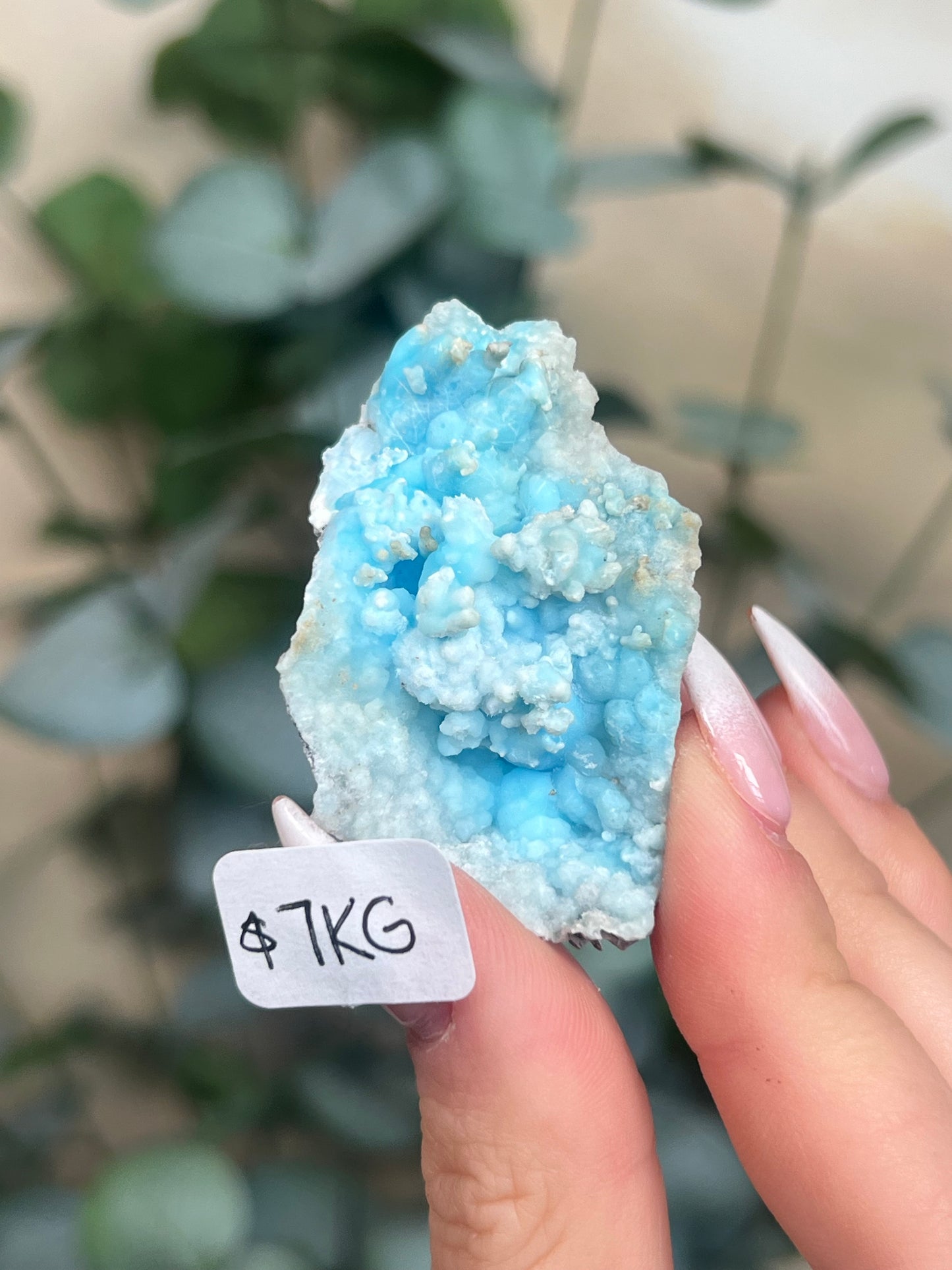 Blue Aragonite (5-10, 6 options)