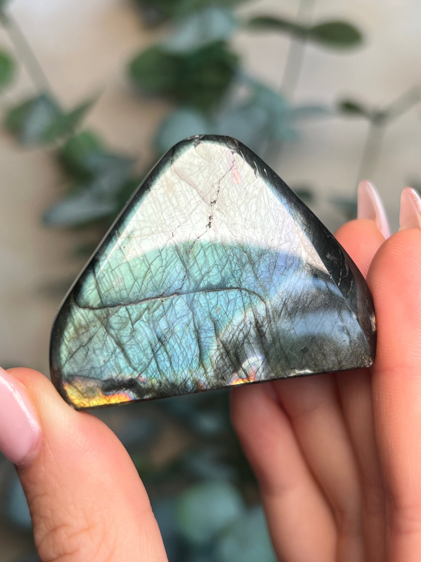 Labradorite Freeform HQ (38LC*)