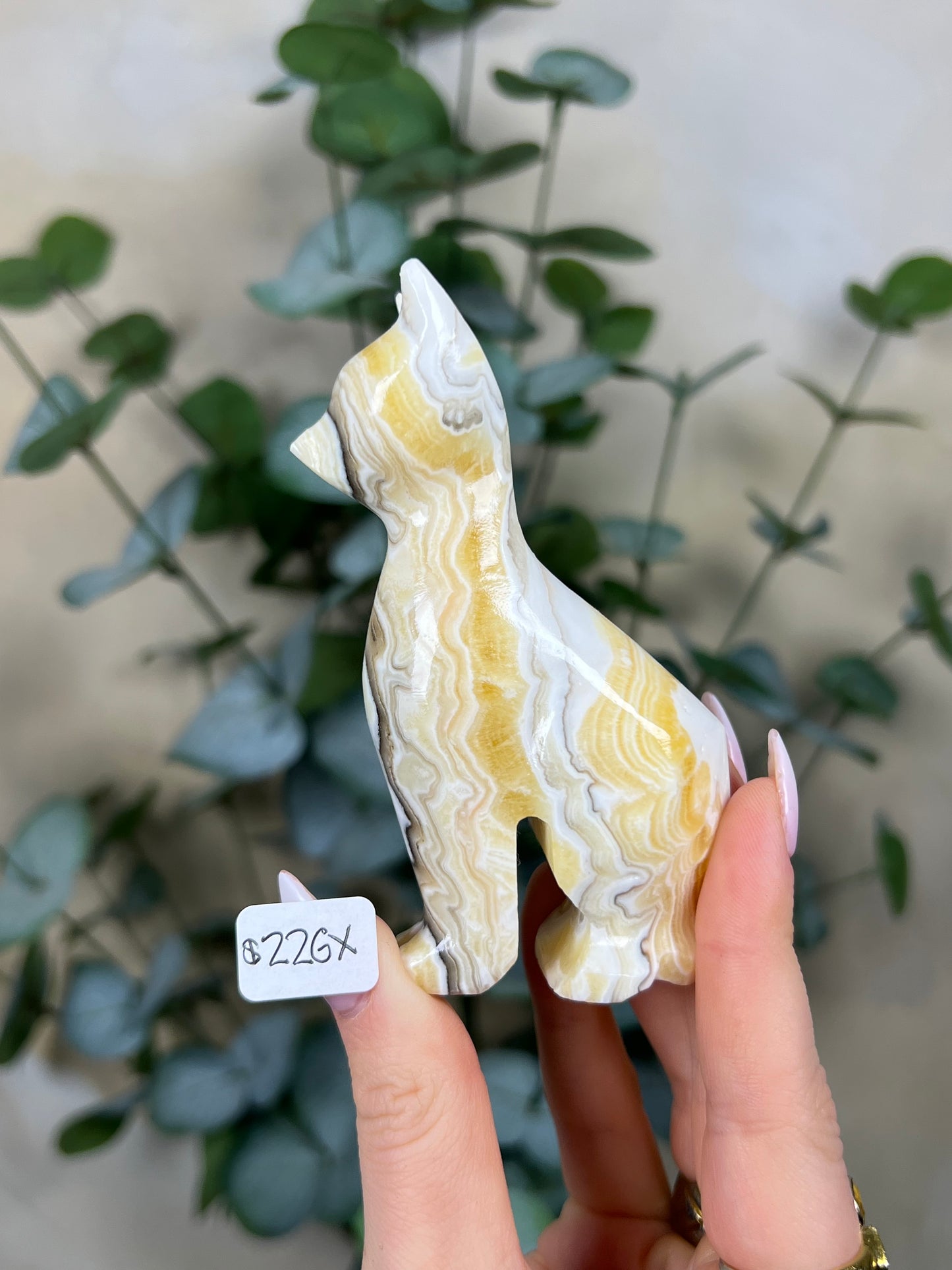 Calcite Cats (22GX-22HA)