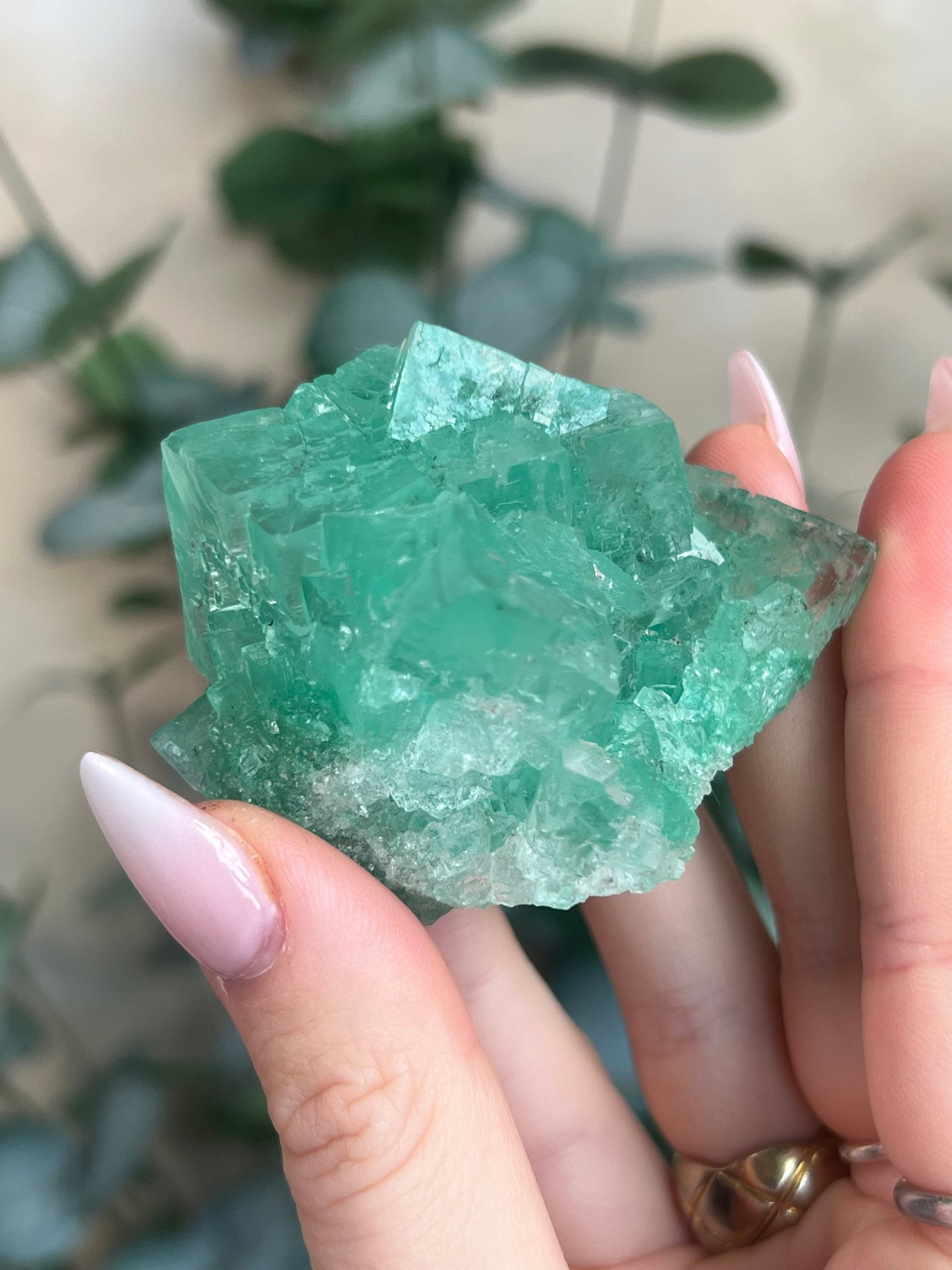 Green Halite with Display Stand (121KB)