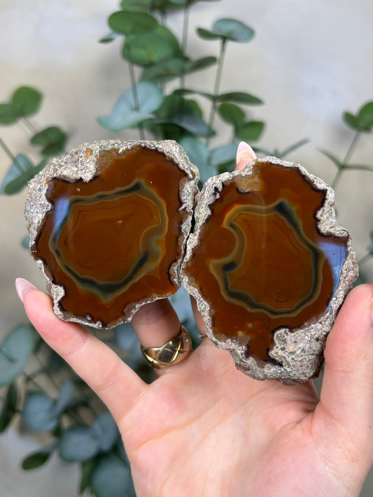 Condor Agate Pair (105ED)
