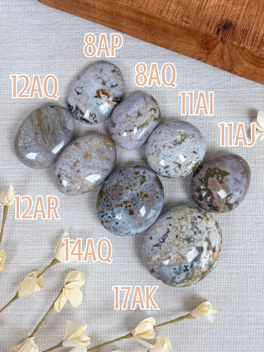 Sea Jasper Palms (8AP-17AK)