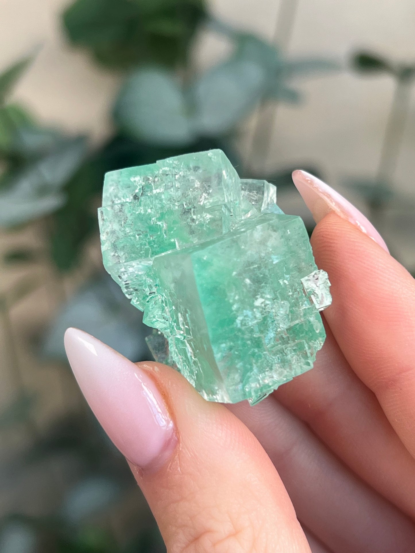 Green Halite with Display Block (90KE)