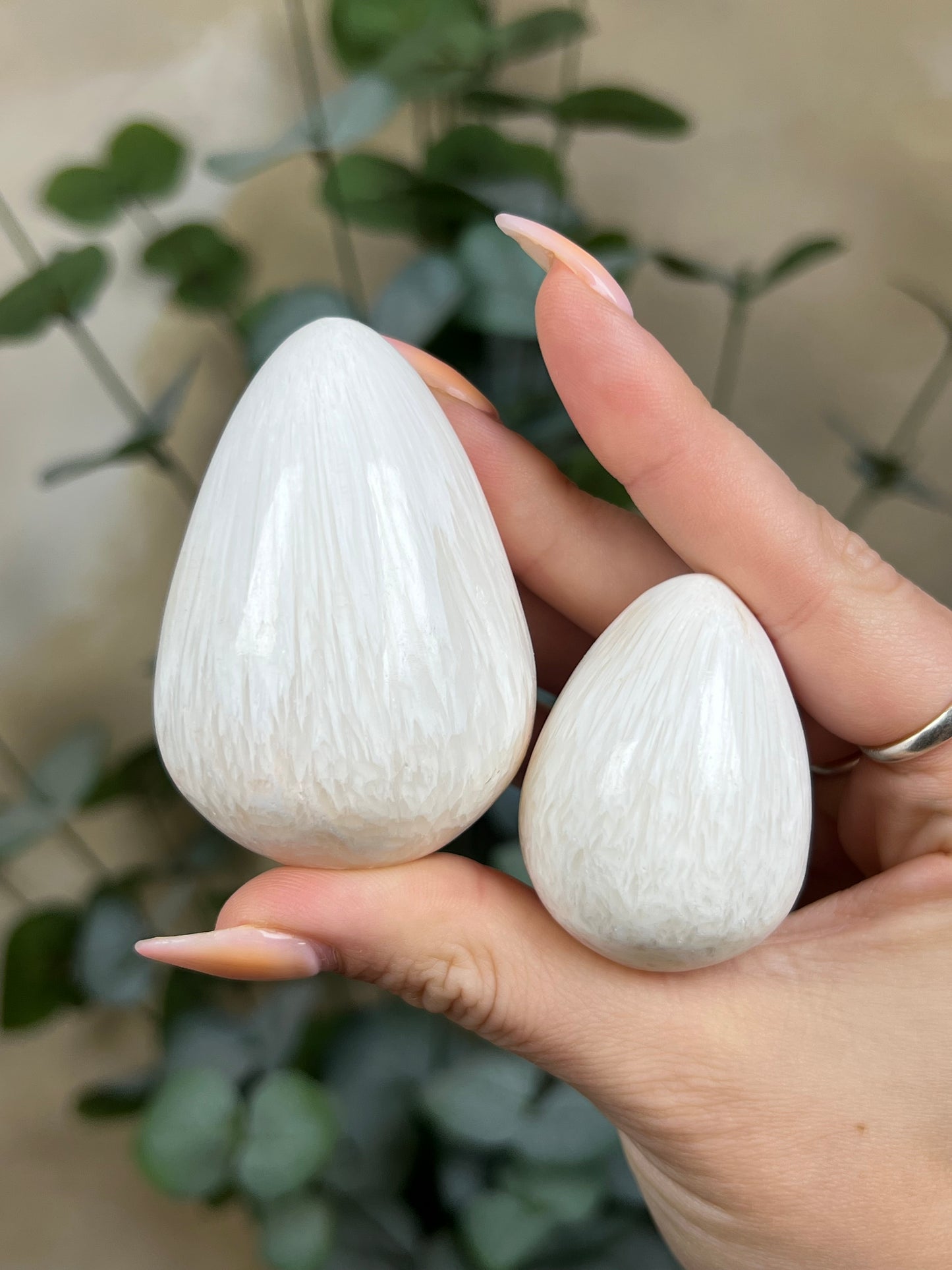 Scolecite Eggs (9AZ, 22AI)