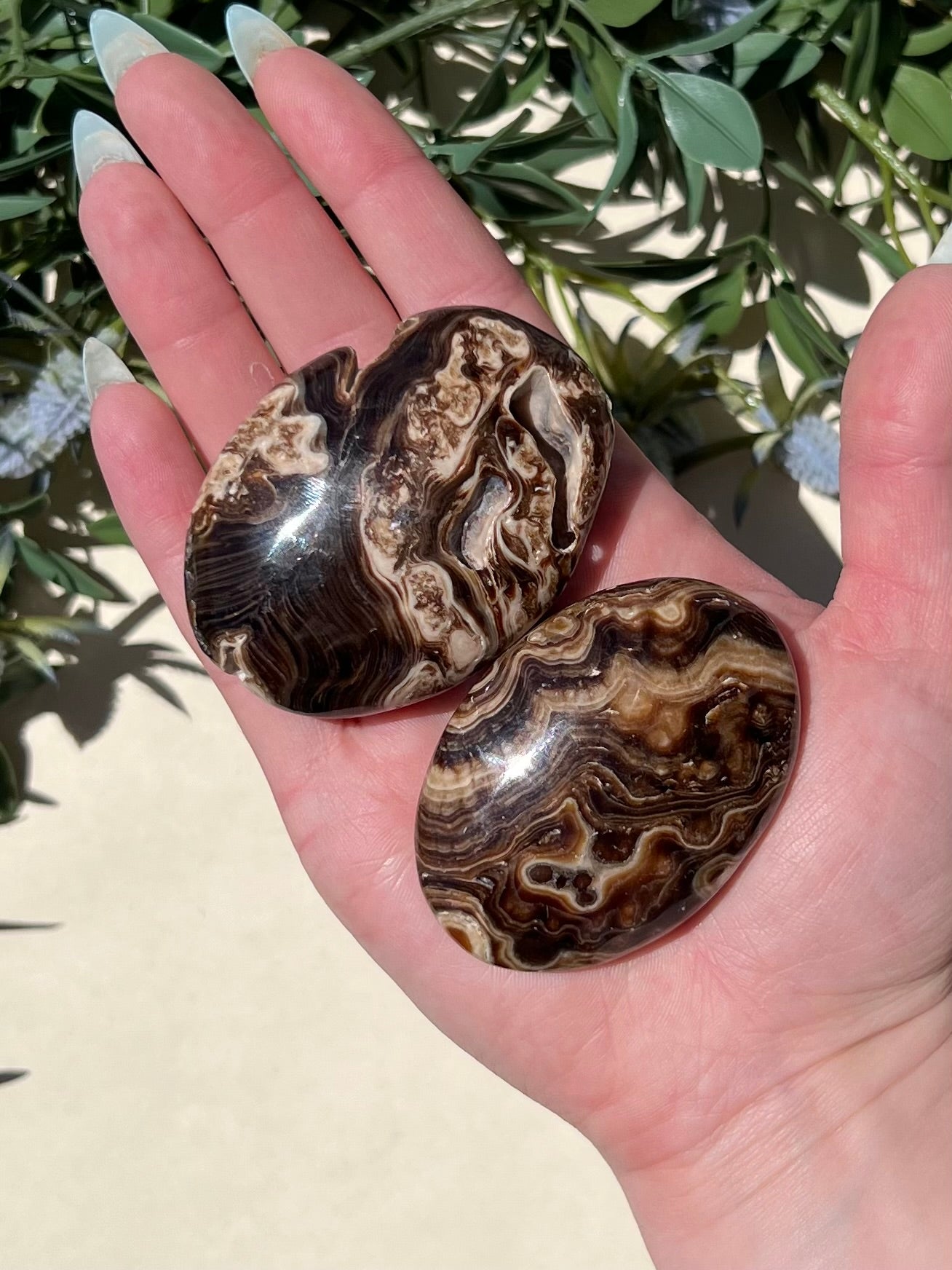 Chocolate Calcite Palms (2 options)