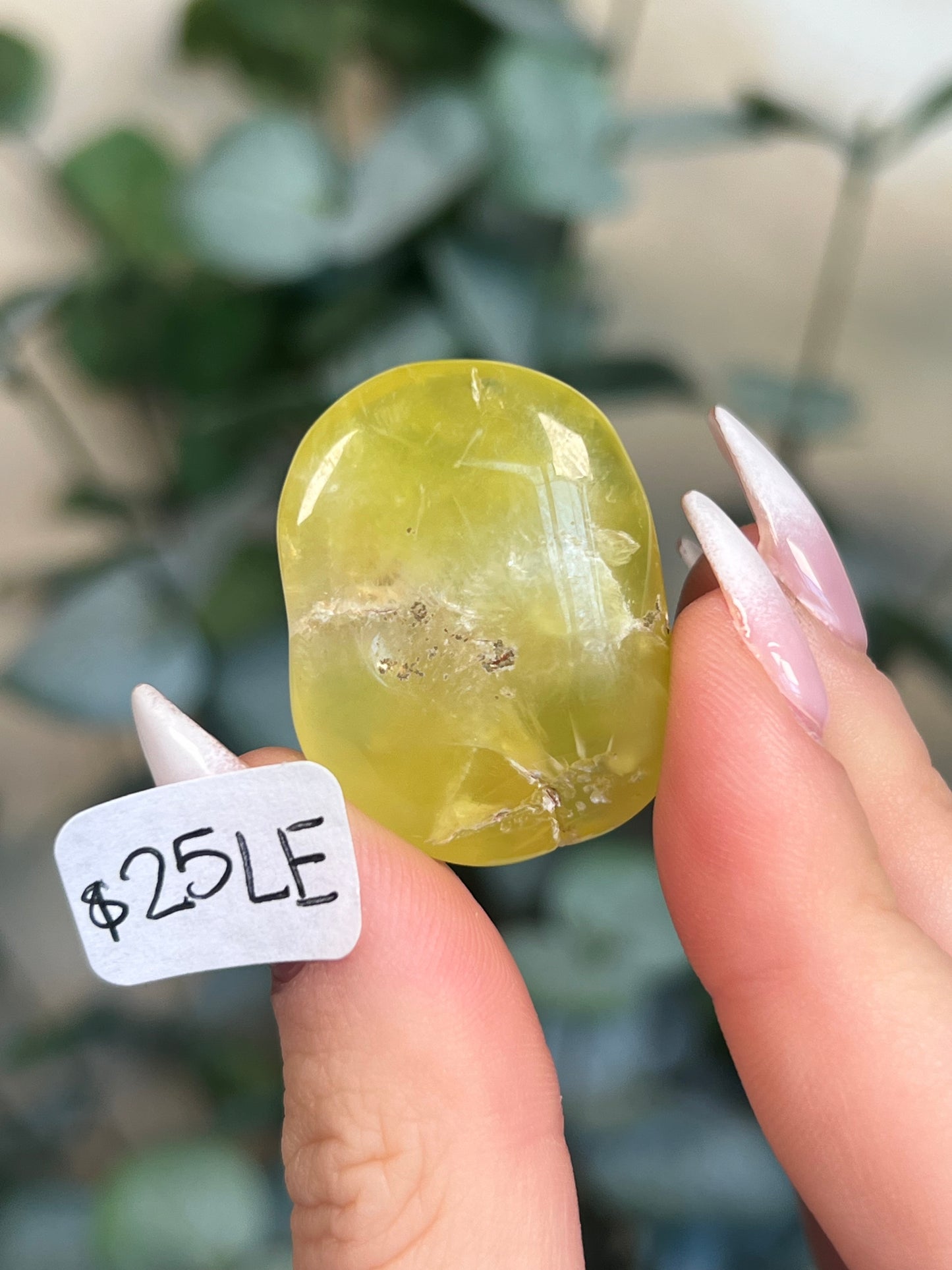 Australian Prehnite Polished (25-30, 4 options)