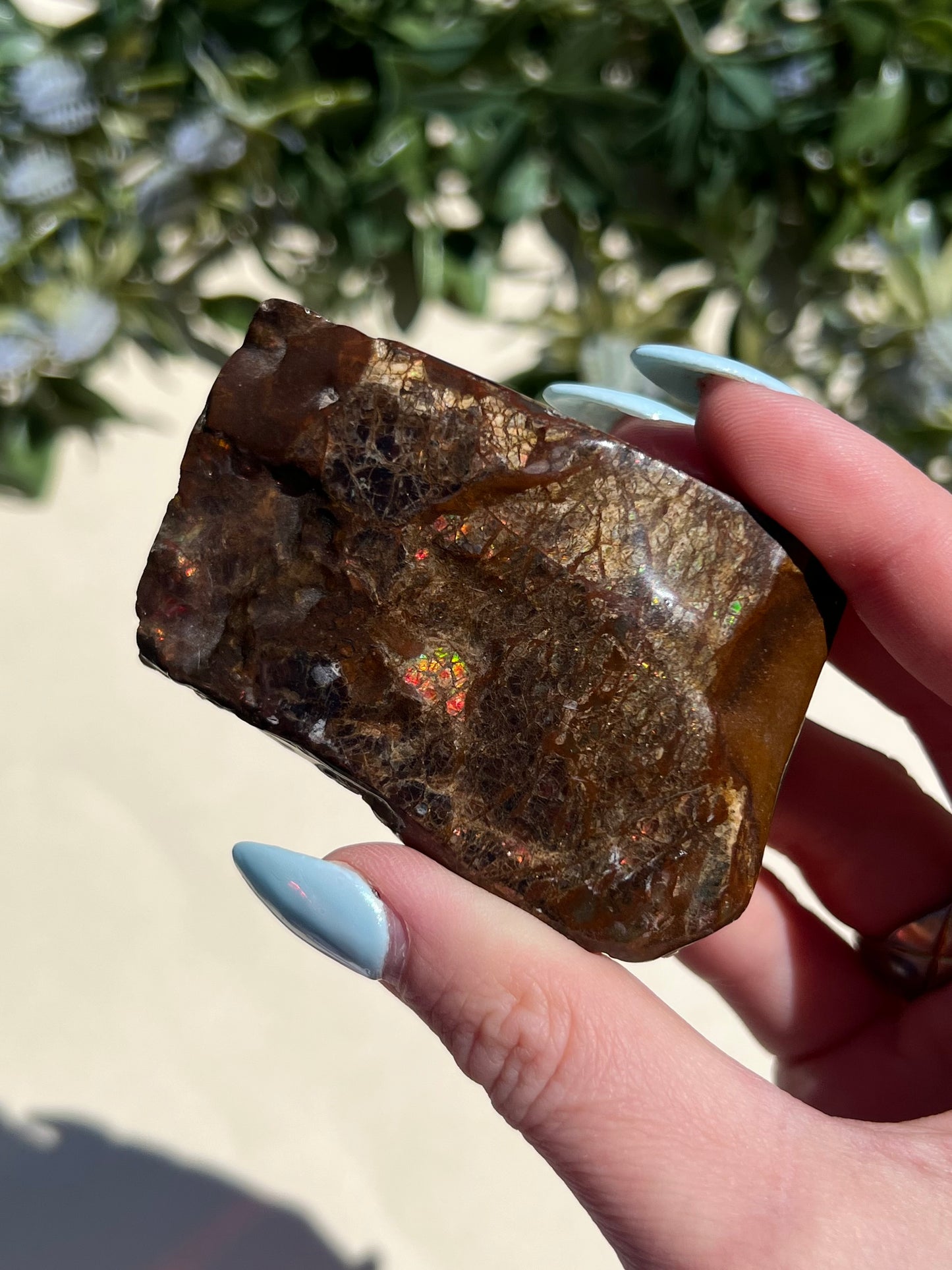 Ammolite (45AE)