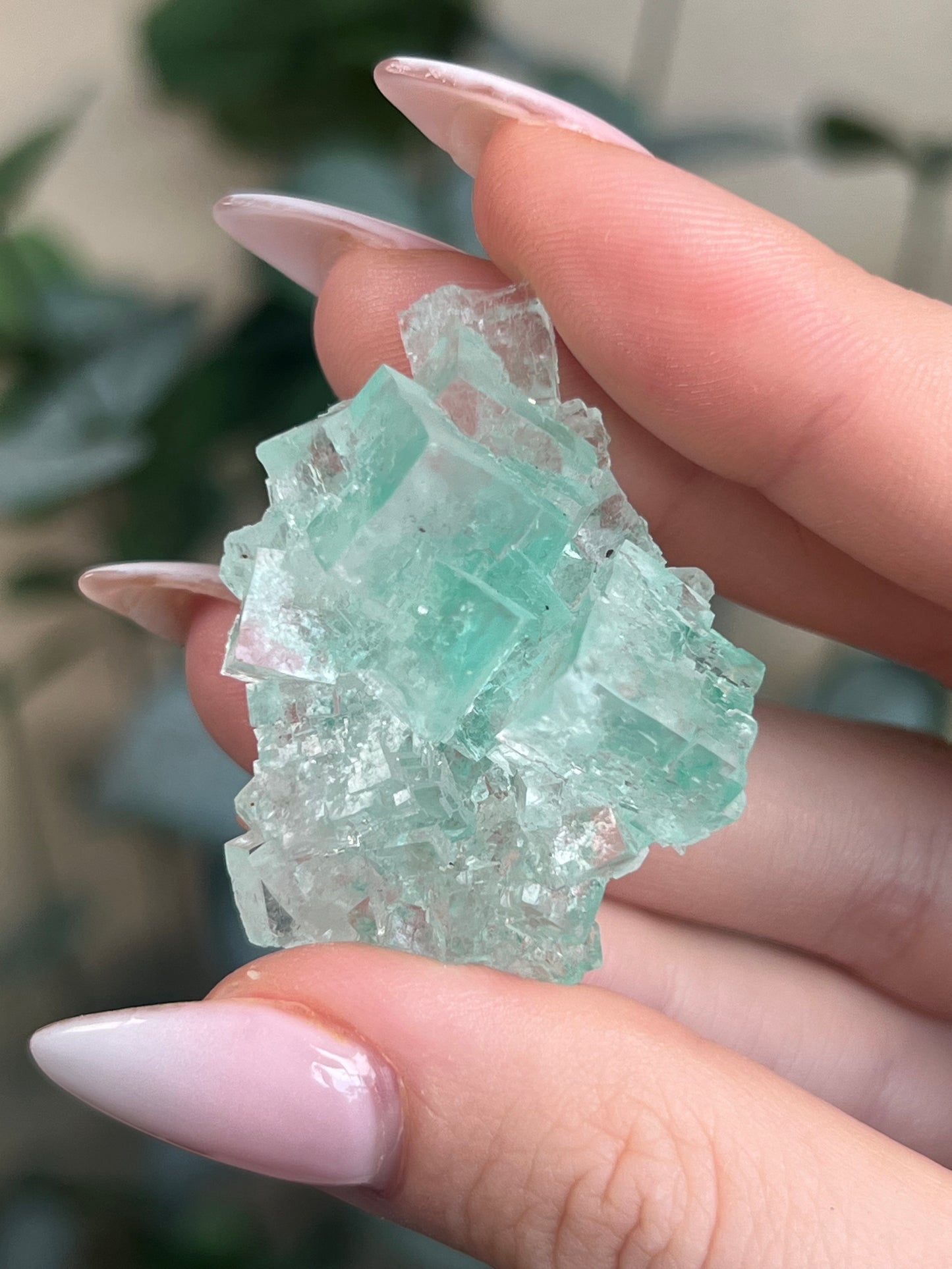 Green Halite with Display Block (65KI)