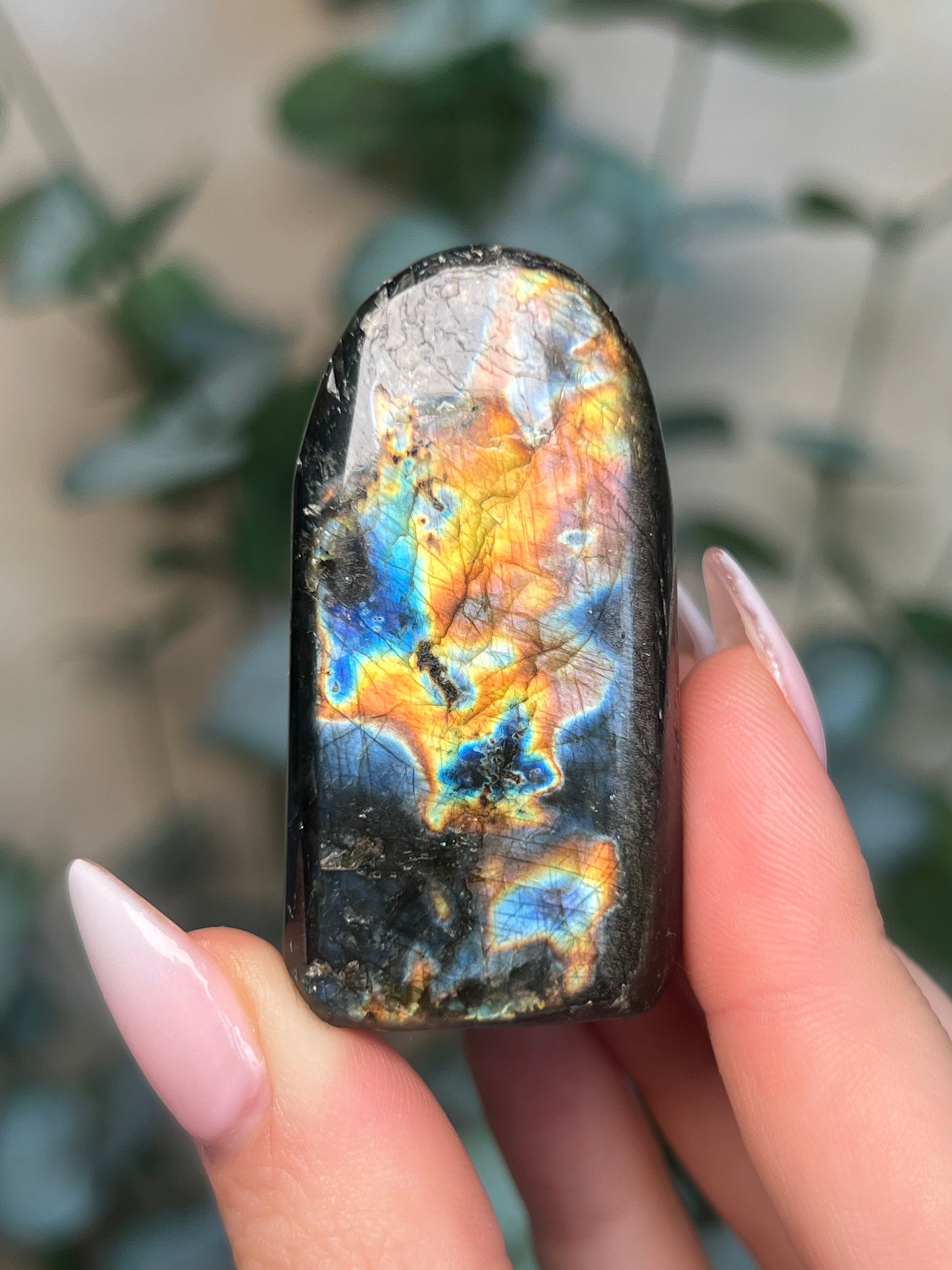 Labradorite Freeform HQ (23KY)