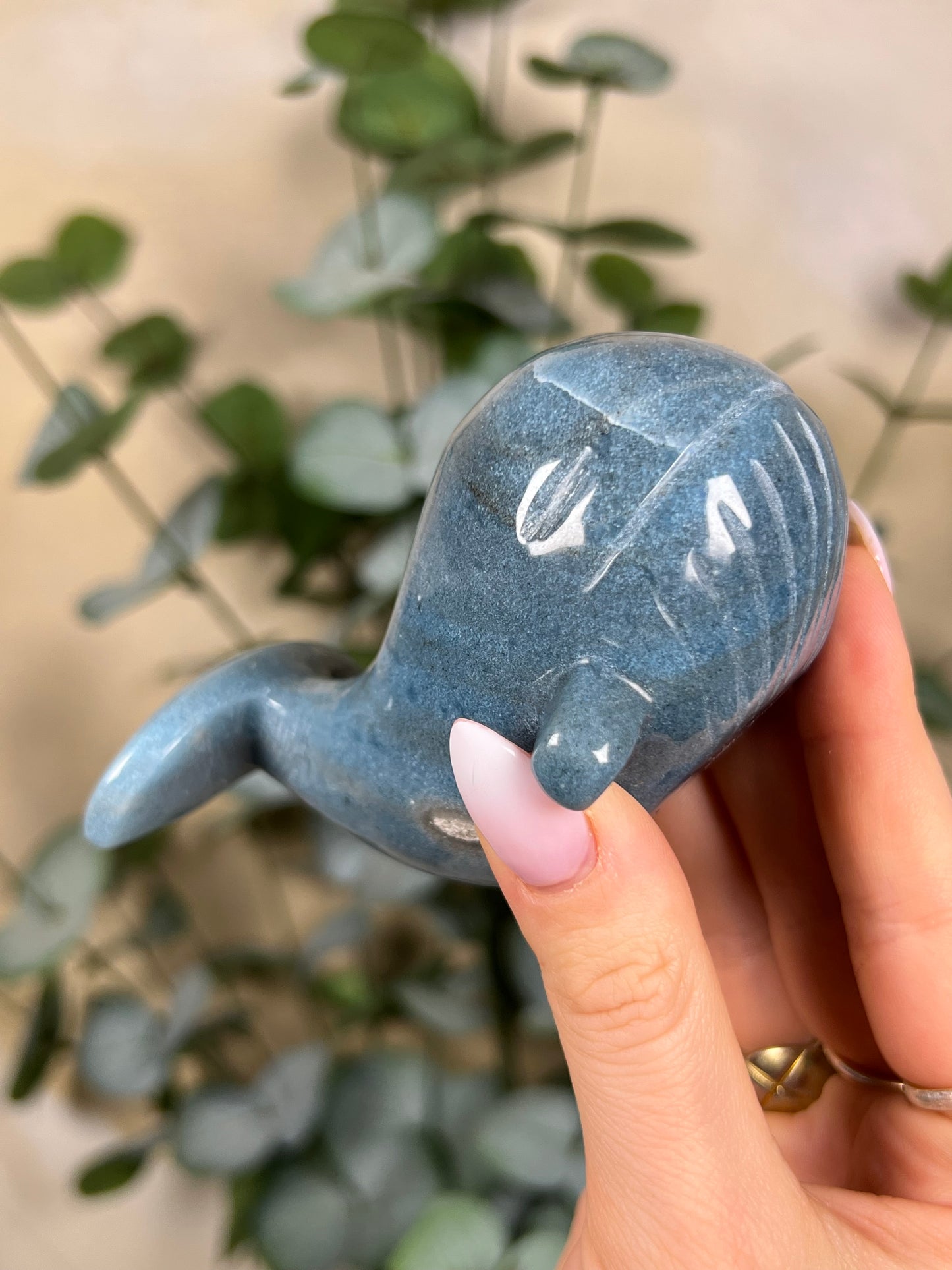 Trolleite Whale (120ED)