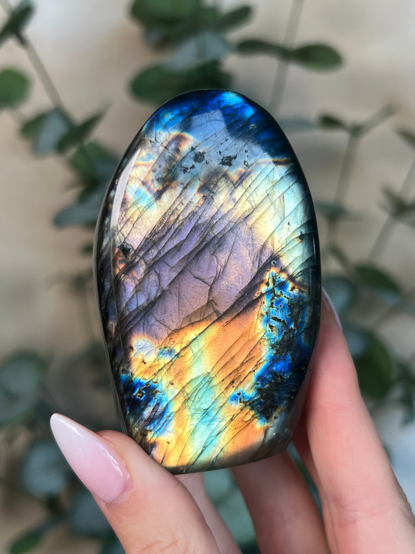 Labradorite Freeform HQ (72KG*)