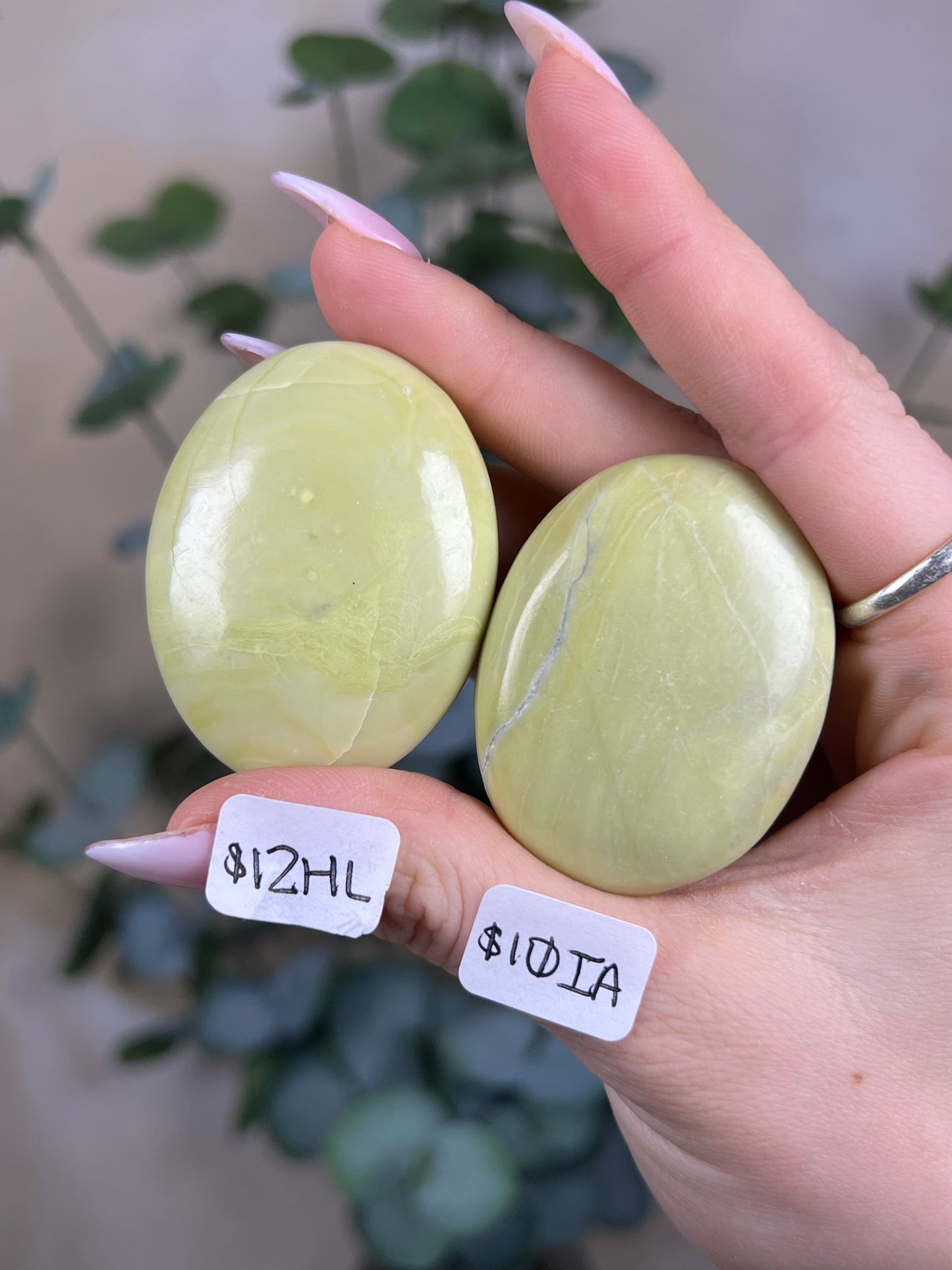 Serpentine Palms, India (8 options)