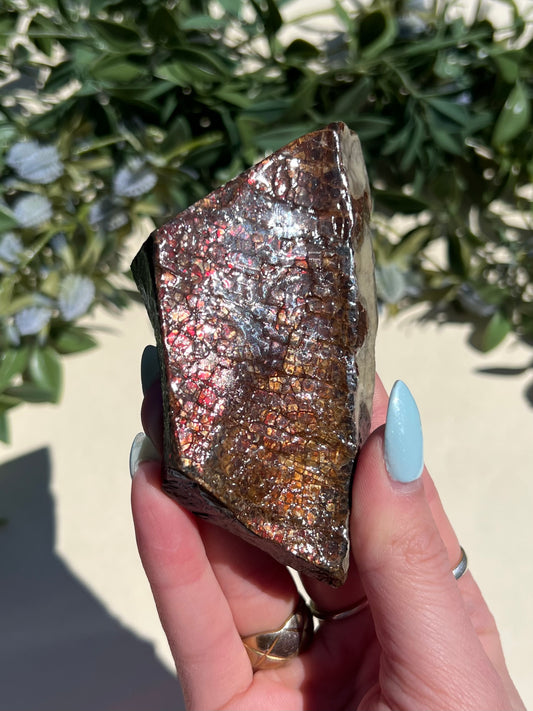 Ammolite (40AH)