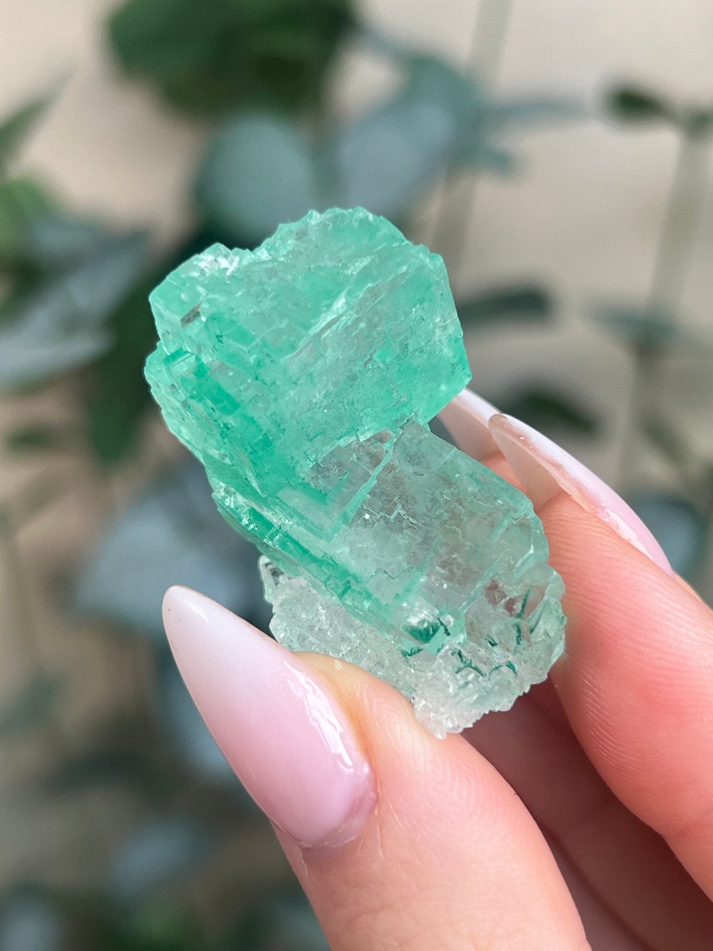 Green Halite with Display Block (85KD)