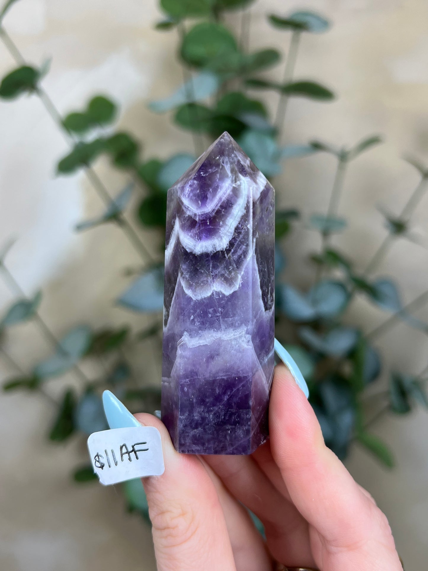 Amethyst Towers (11AF, 12AI)