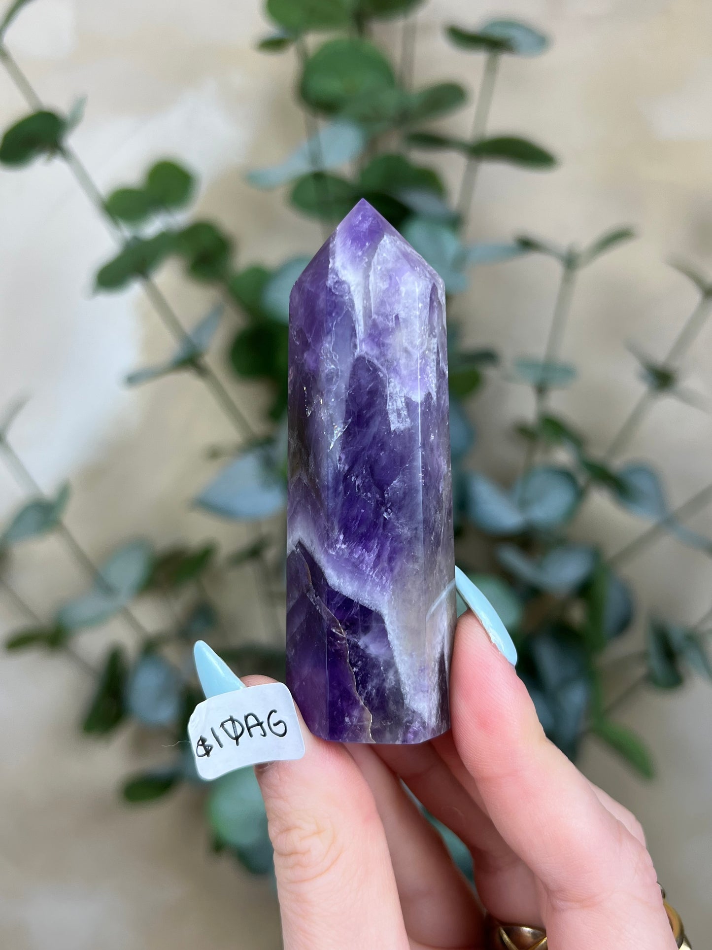 Amethyst Towers (10AE-10AH)