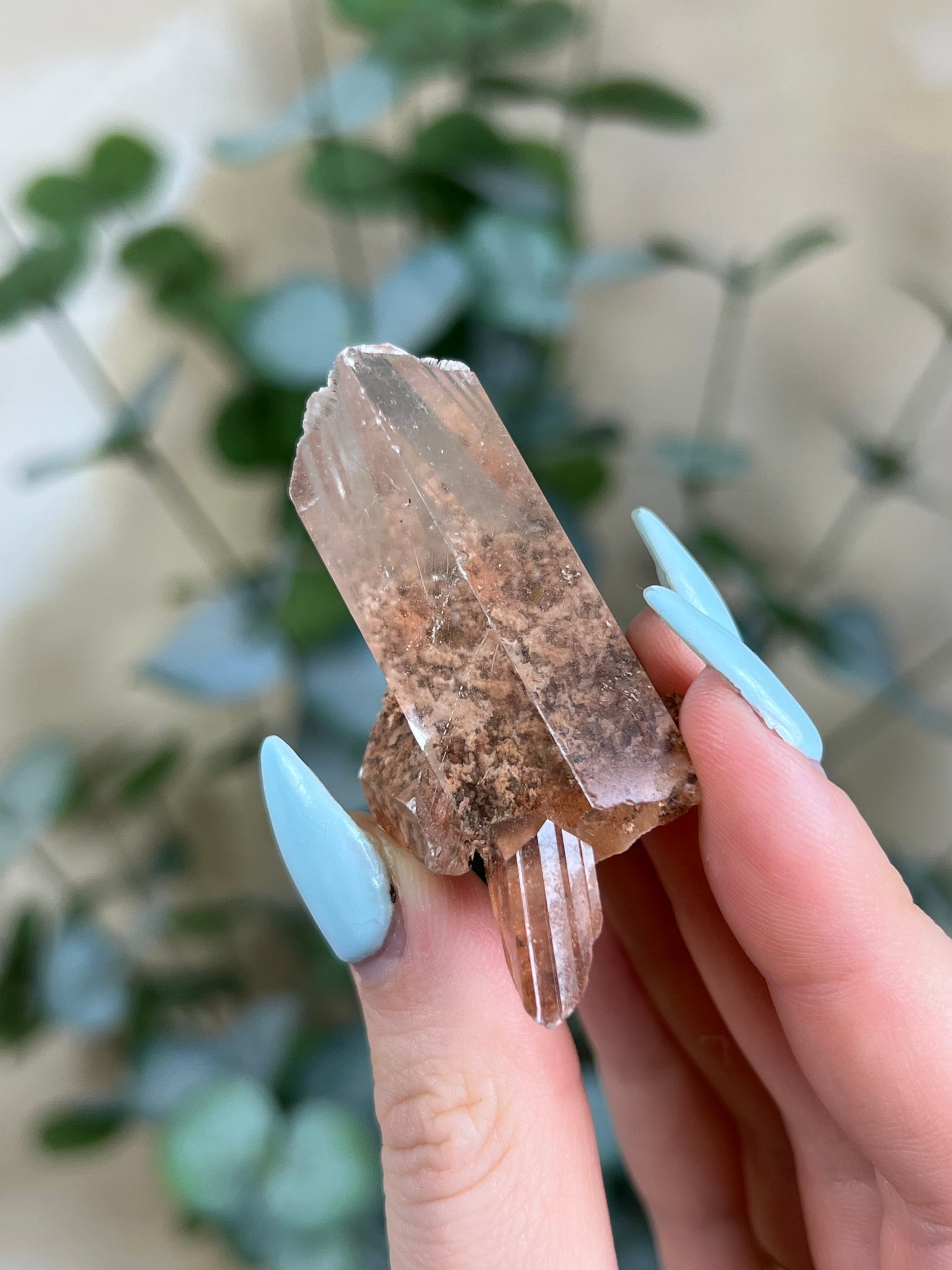 Durango Selenite (111EA)