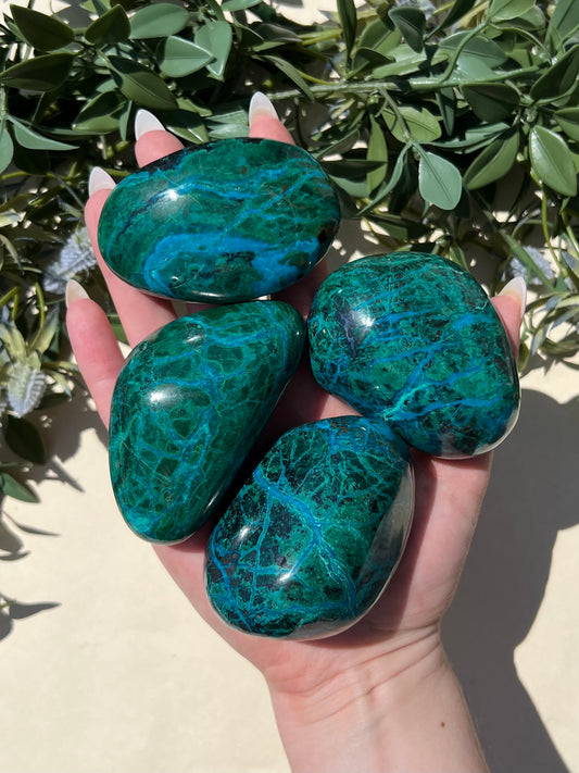 Malachite Chrysocolla Freeforms (37AB-61AA)