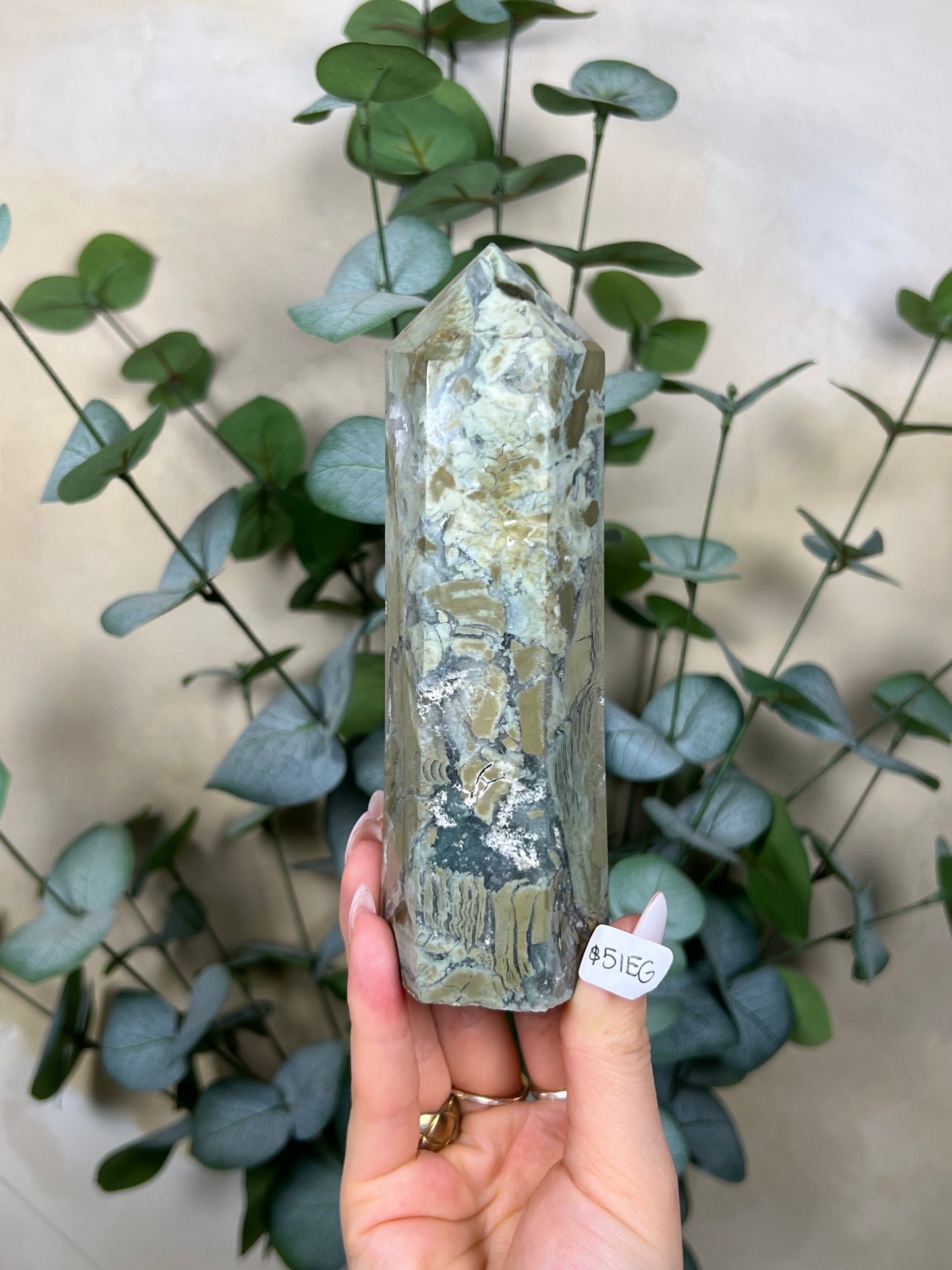 Ibis Jasper Towers (50ER, 51EG)