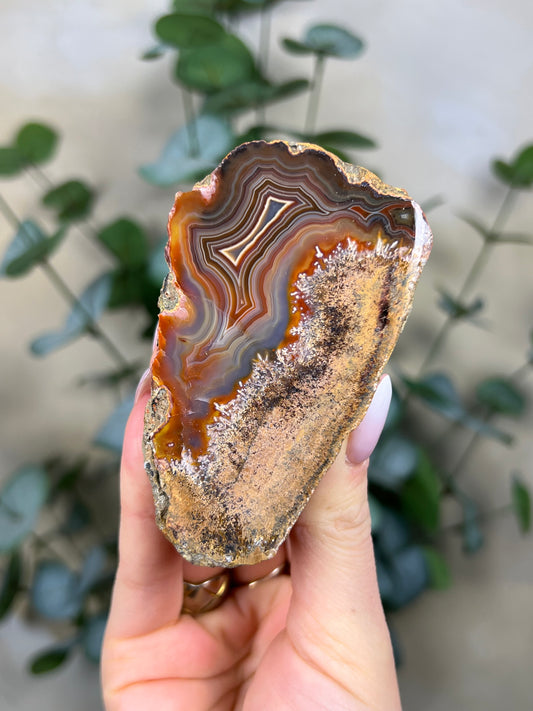 Condor Agate (58EQ)