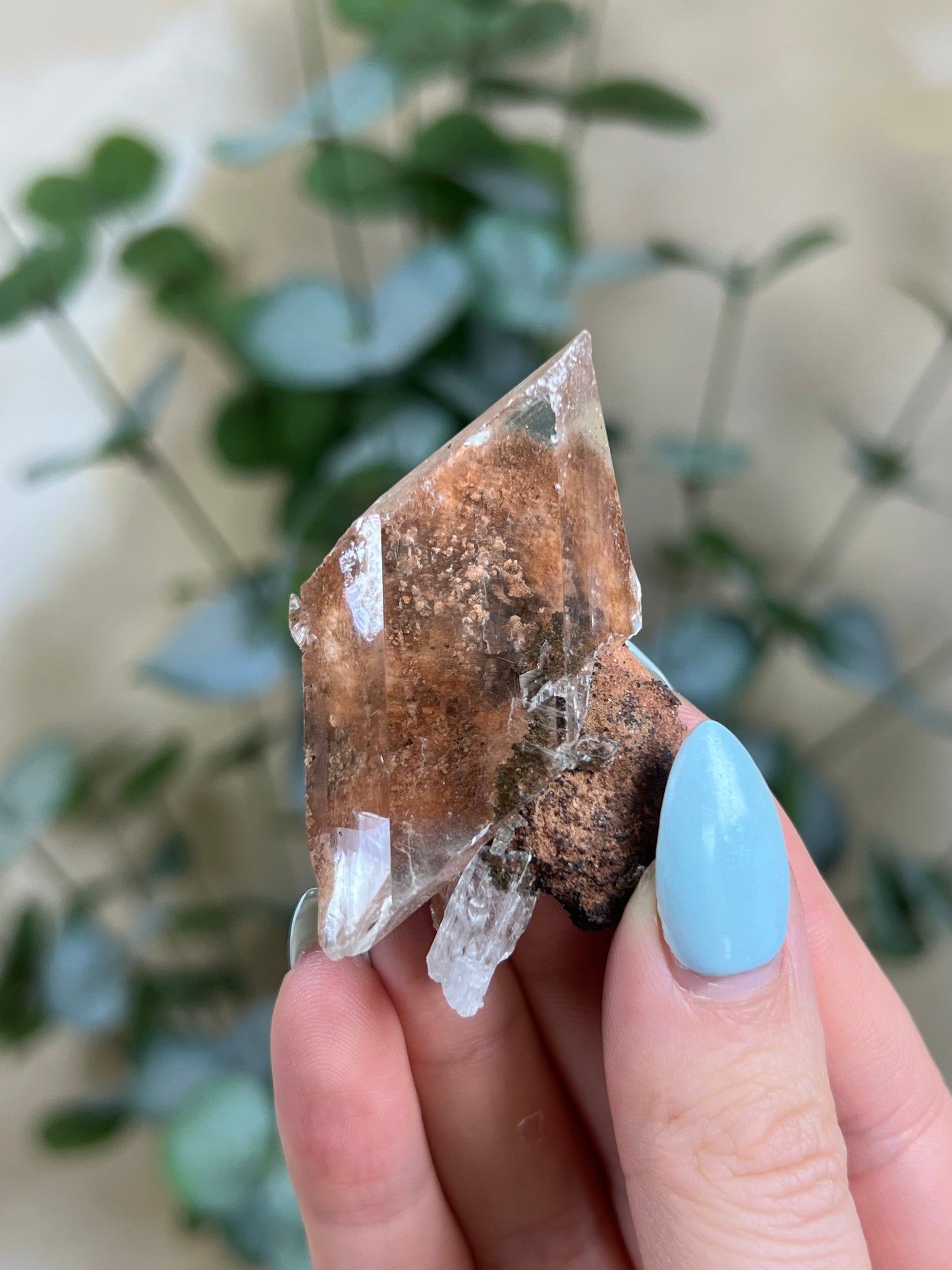 Durango Selenite (121EA)
