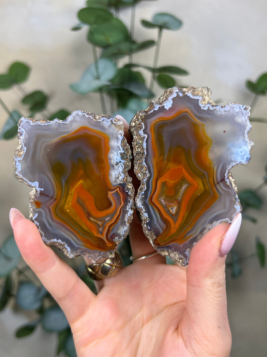 Condor Agate Pair (445EA)