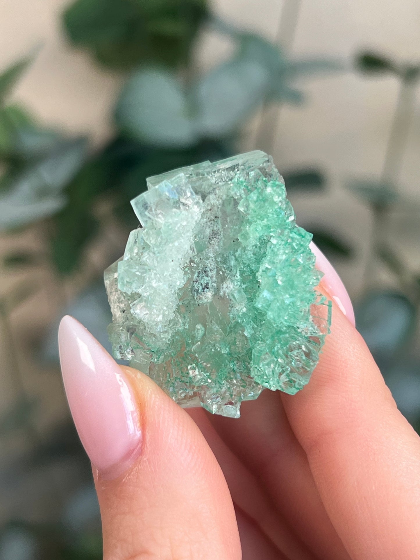 Green Halite with Display Block (90KE)