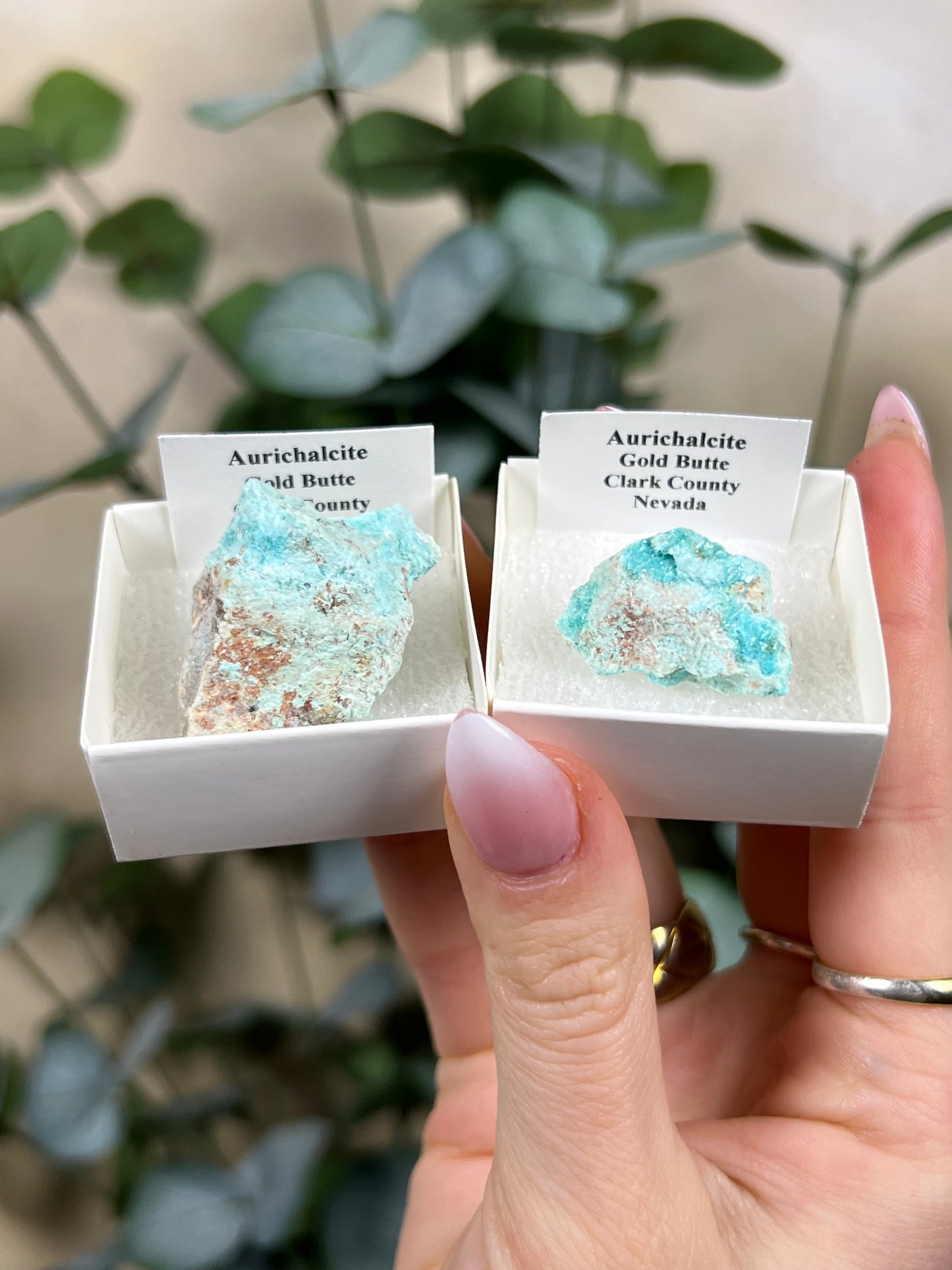 Aurichalcite Specimen - Nevada